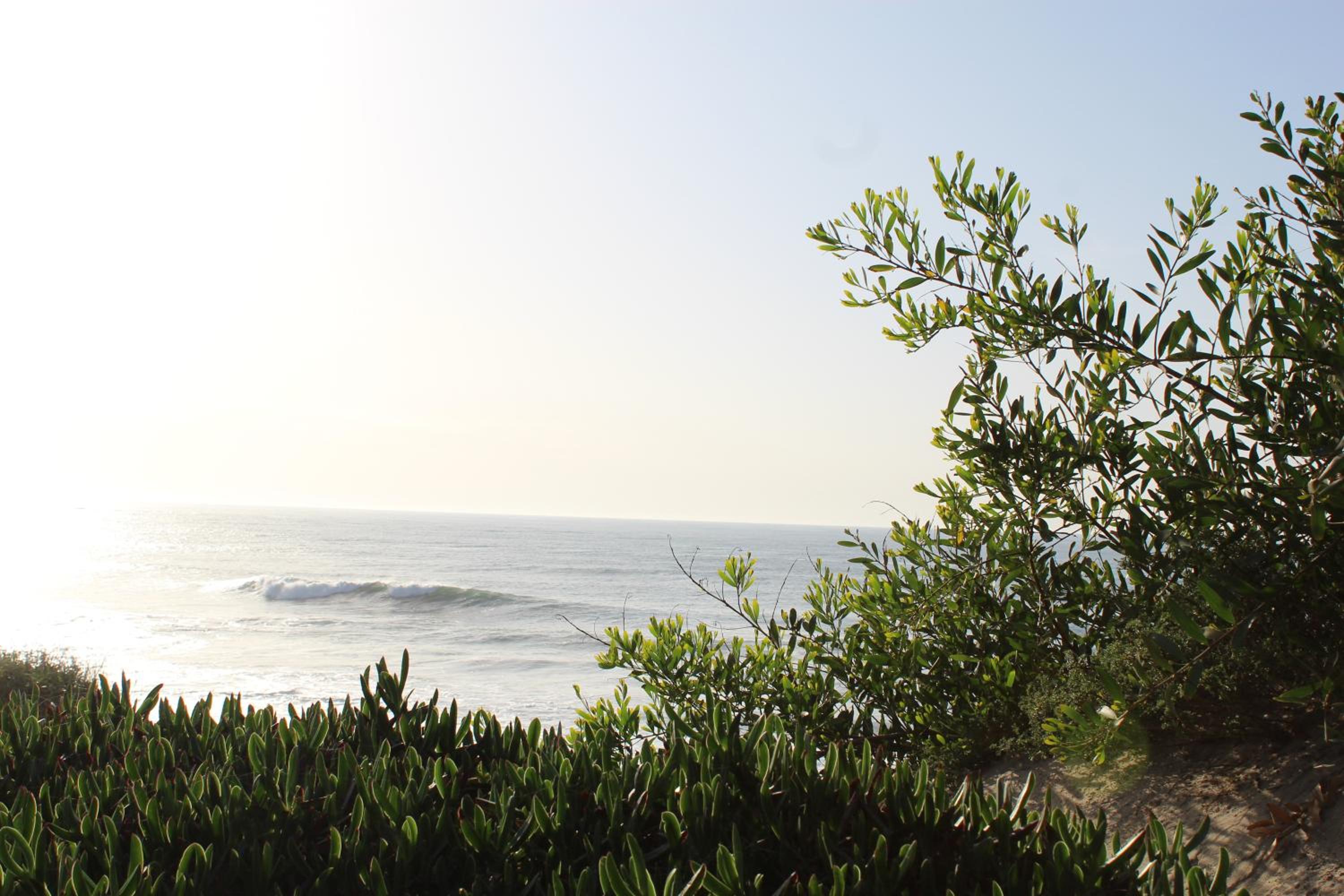 Bonança Dunas Village view 5