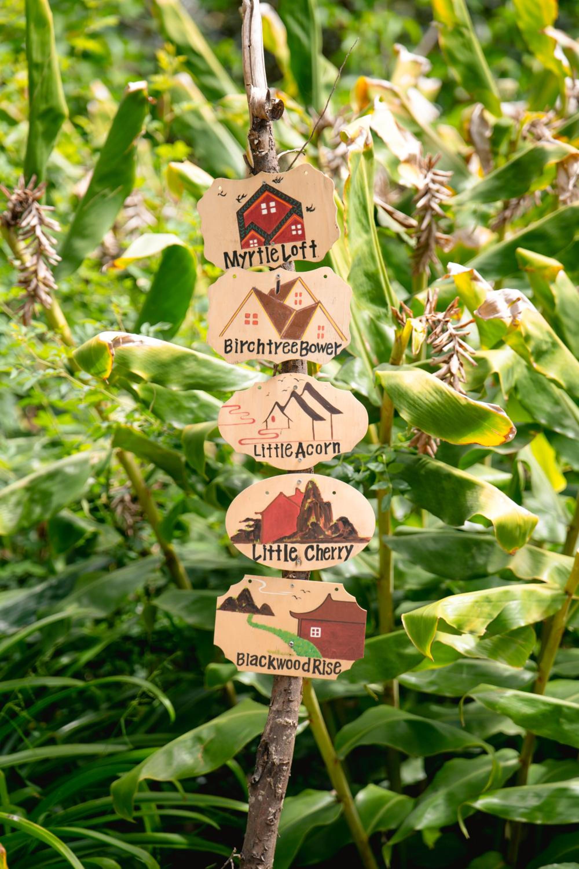 Sunshine Forest Garden