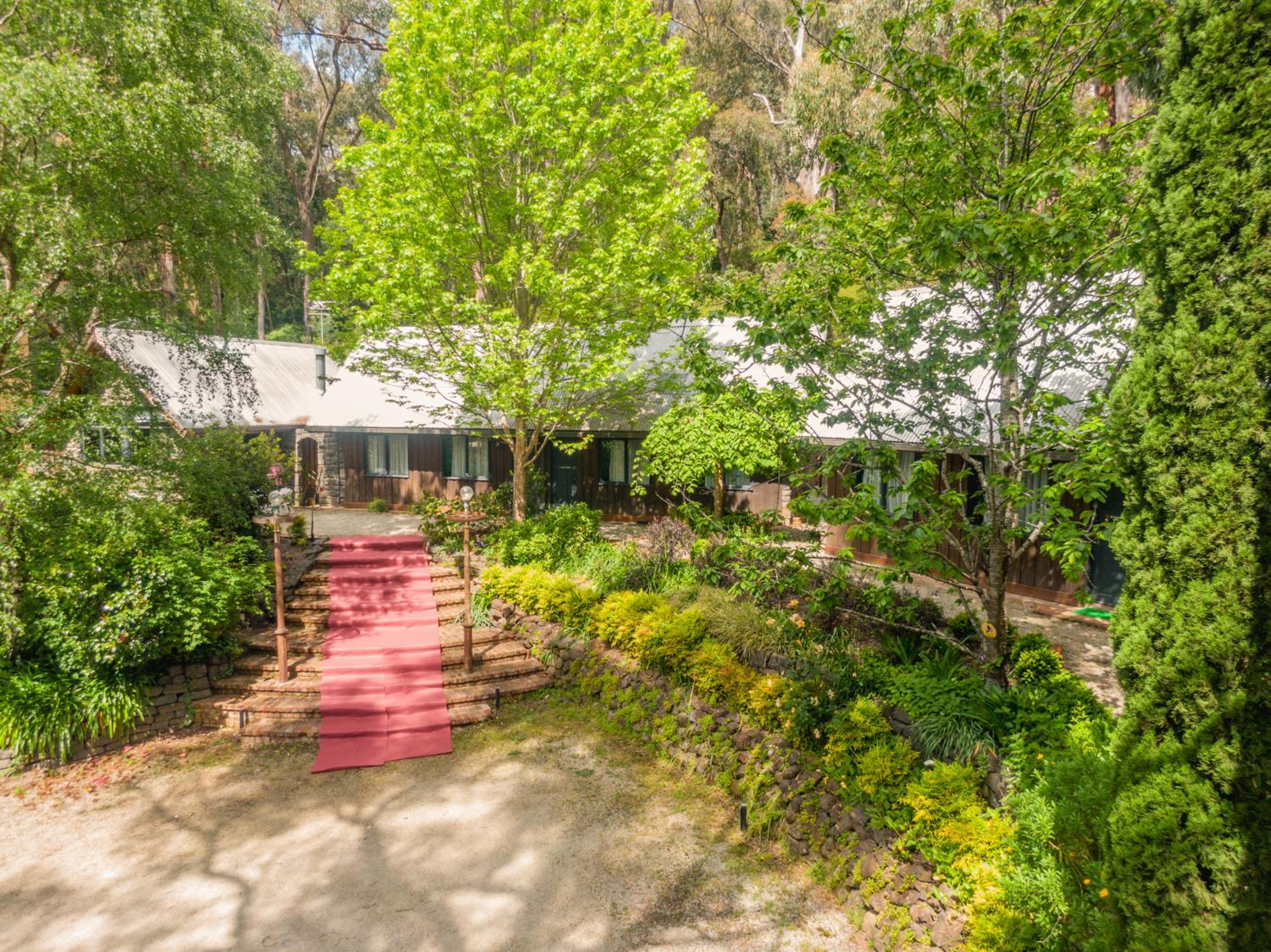 Sunshine Forest Garden