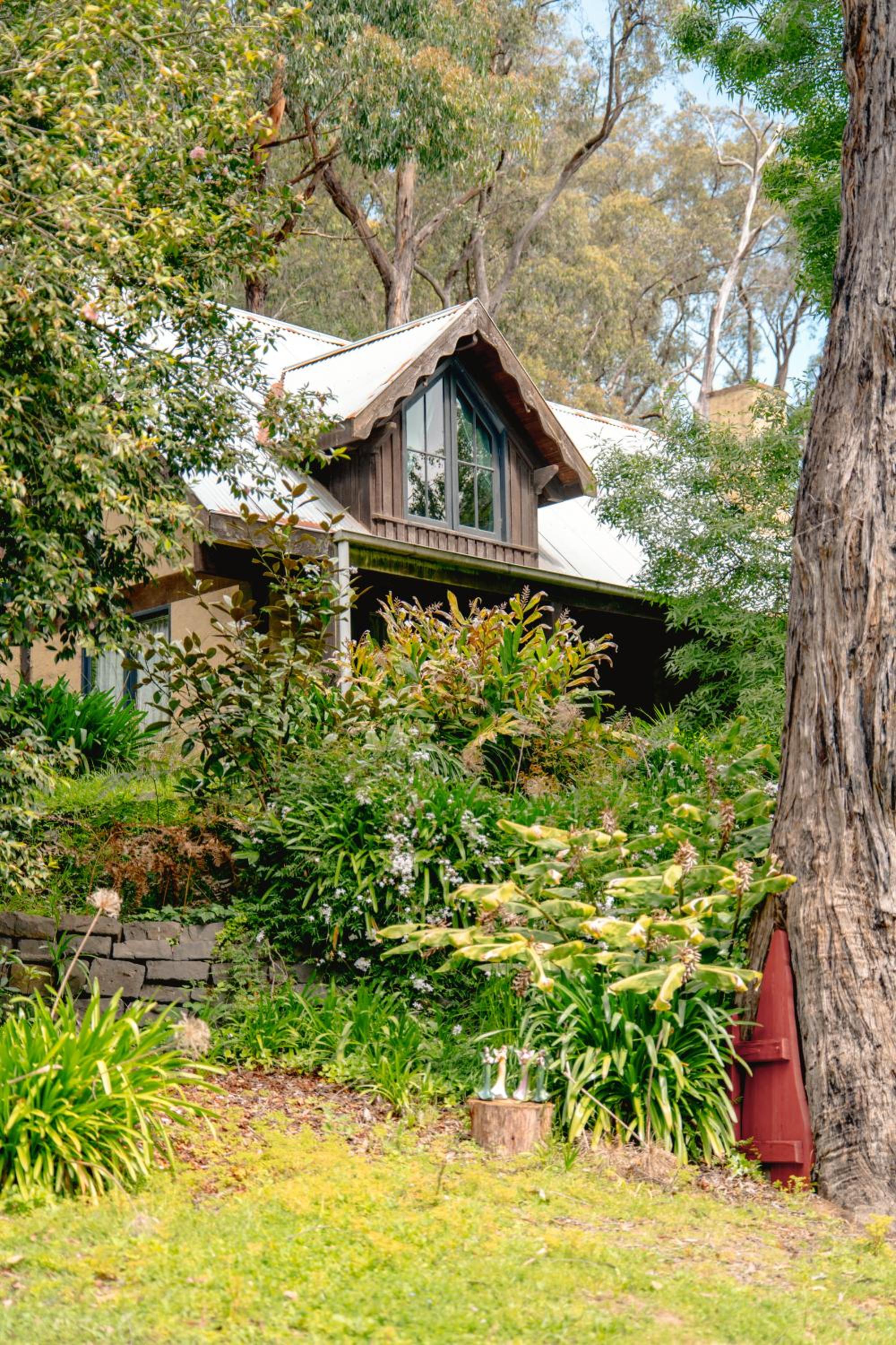Sunshine Forest Garden