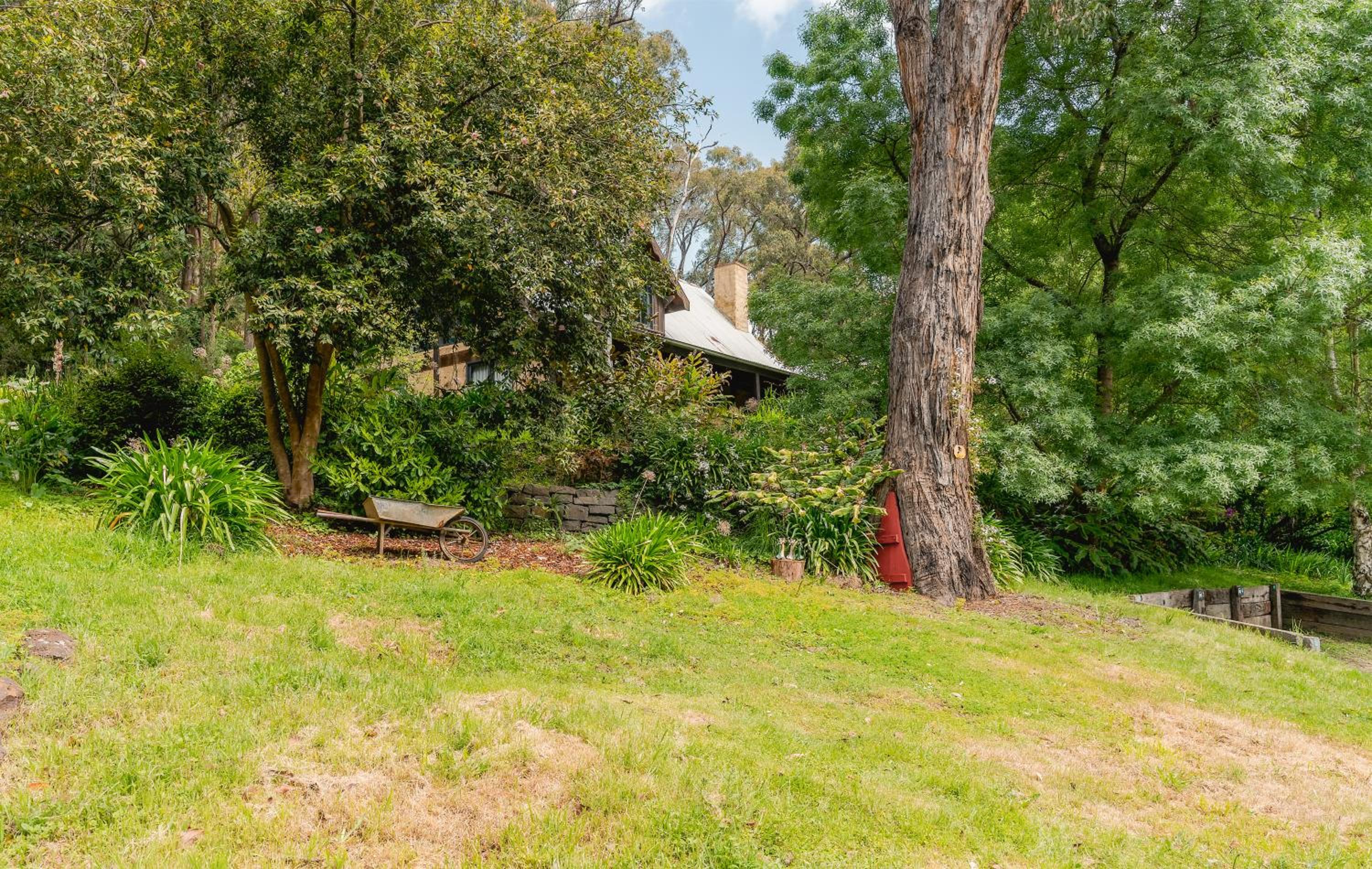 Sunshine Forest Garden