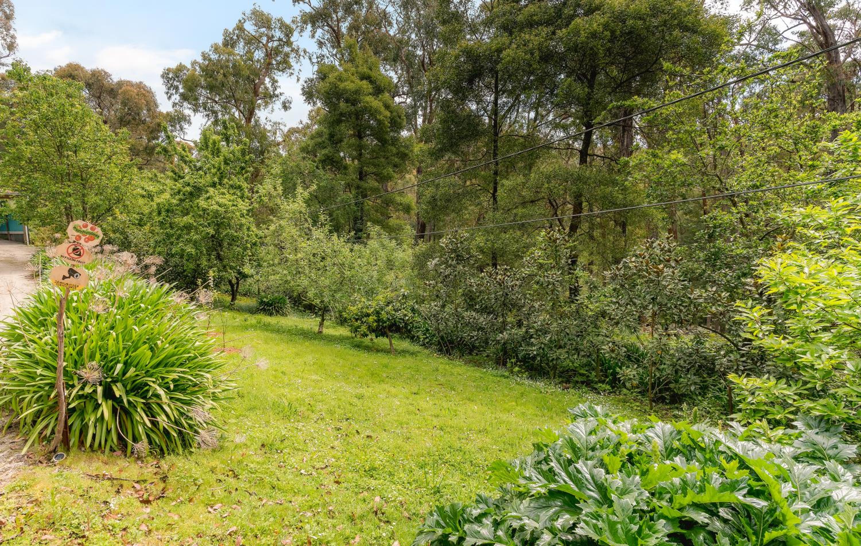 Sunshine Forest Garden