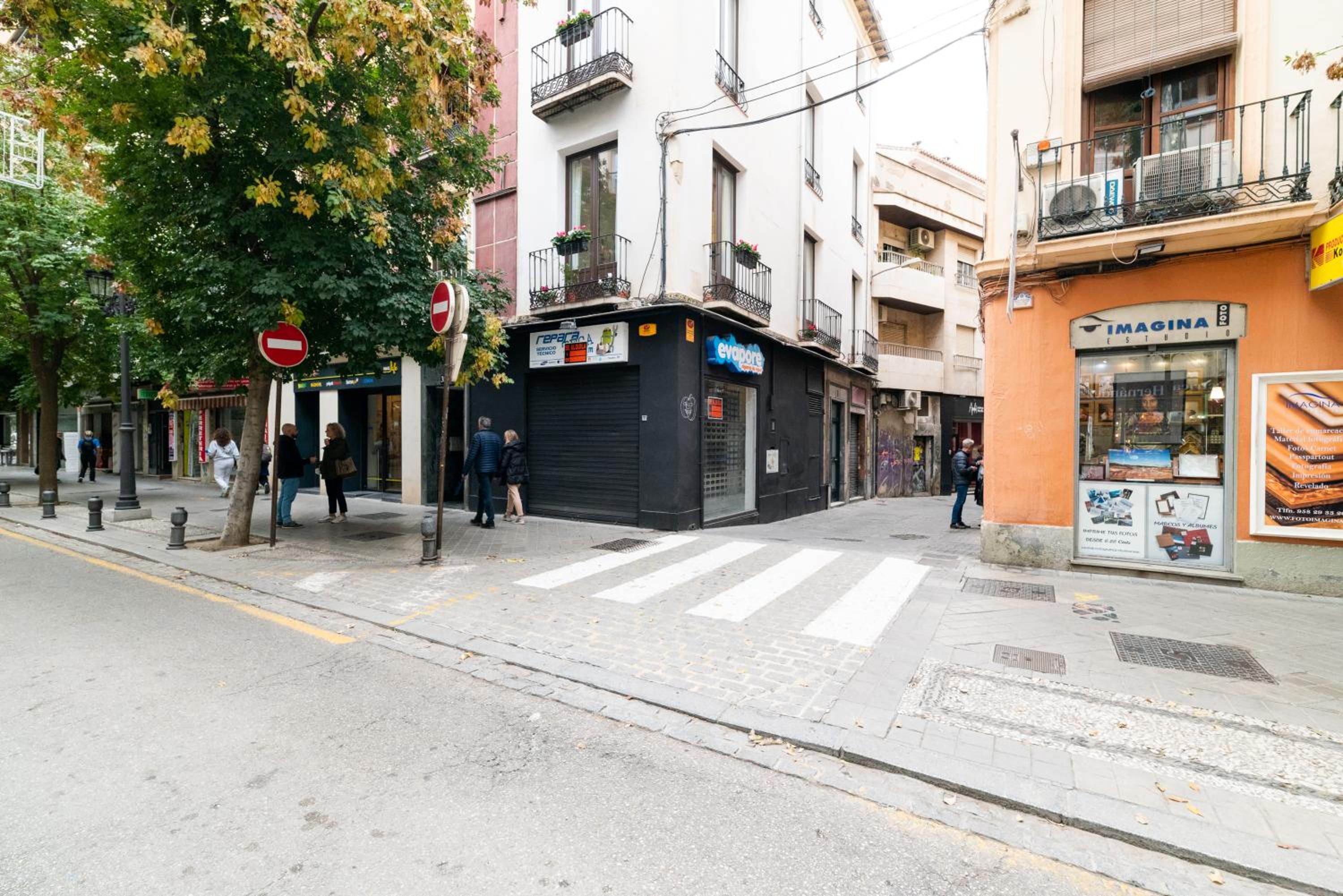Villa Centro Granada