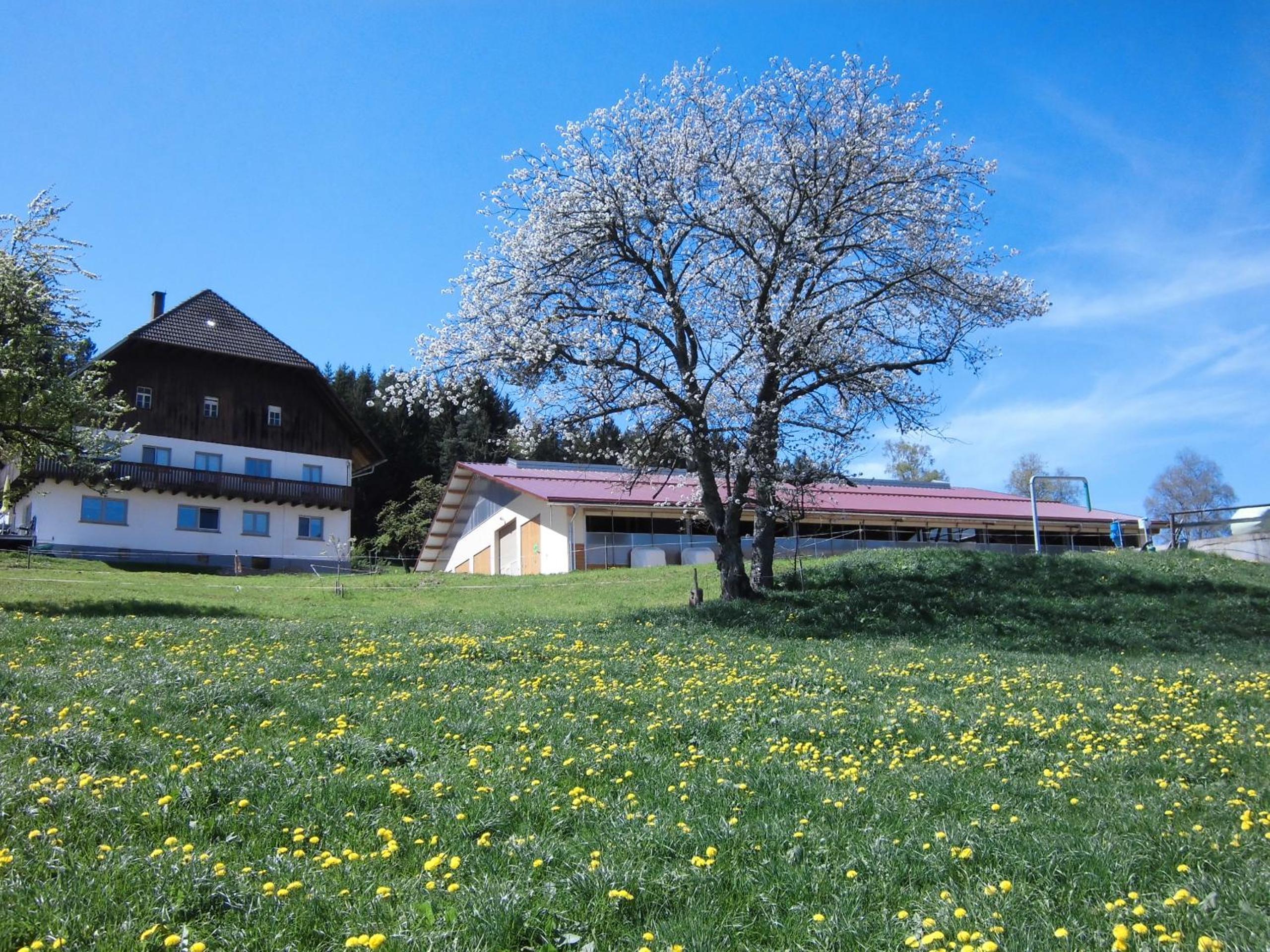 Ferienwohnung Ursprung