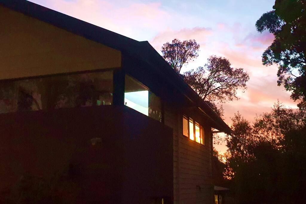 Dreamweaver Studio - town forest retreat