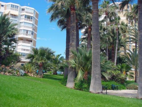 Sunny apartment El Campello