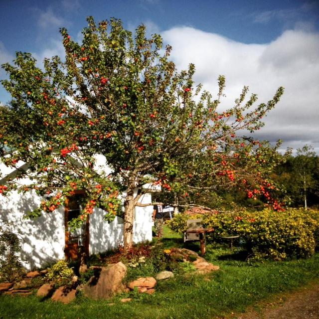 Gîte Aux Jardins De L'Anse