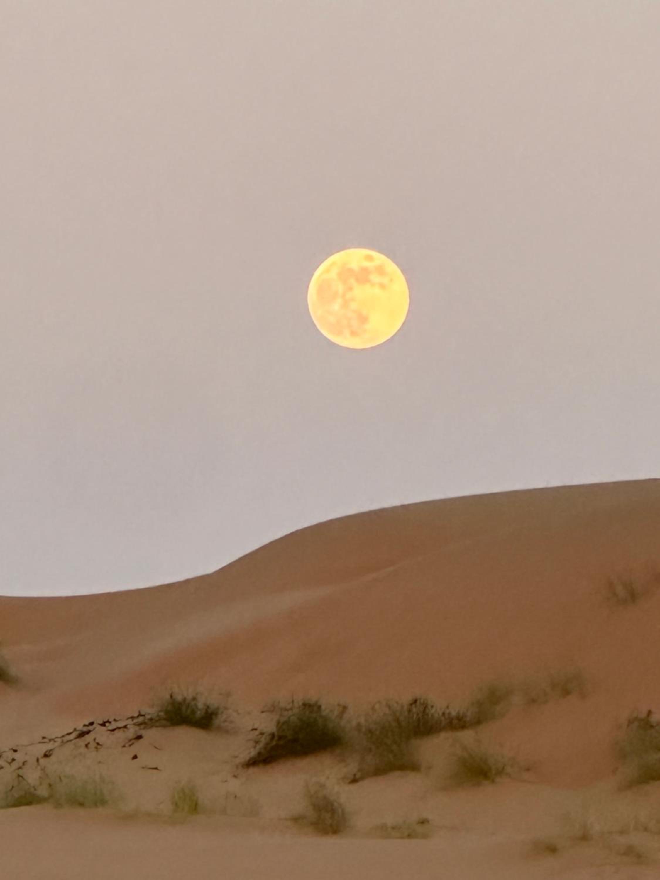 Golden dune Bedouin camp view 2