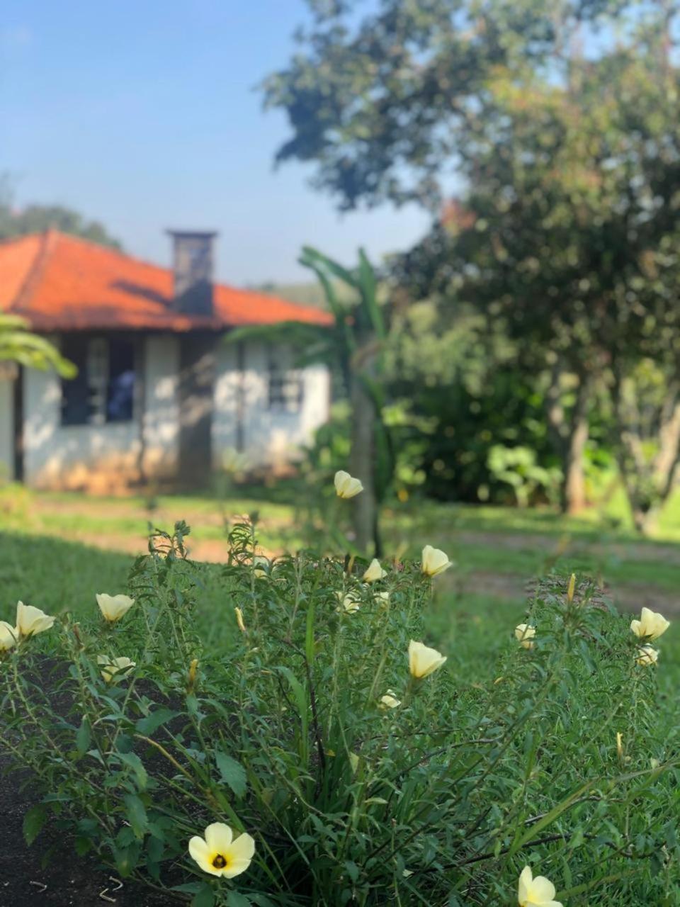 Reserva Querubins