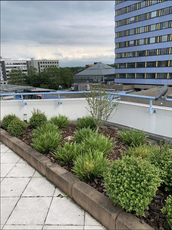 Im Herzen von Wiesdorf- Blick auf das BAYER-KREUZ -Appartement mit 2 Schlafzimmern & 3 Betten-für 4 Personen -Zentral gelegen - Friedrich Ebert Platz 5a , 
