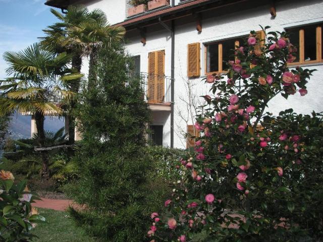 Photo 38