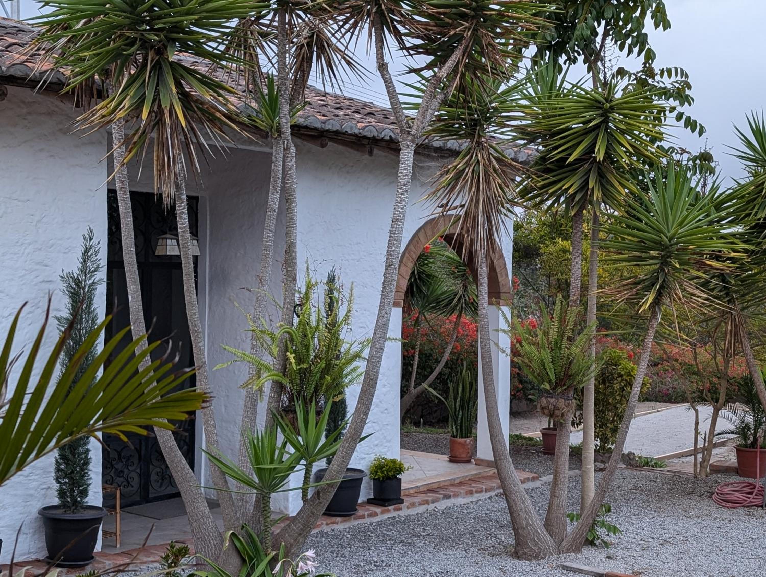 Quinta Paolita