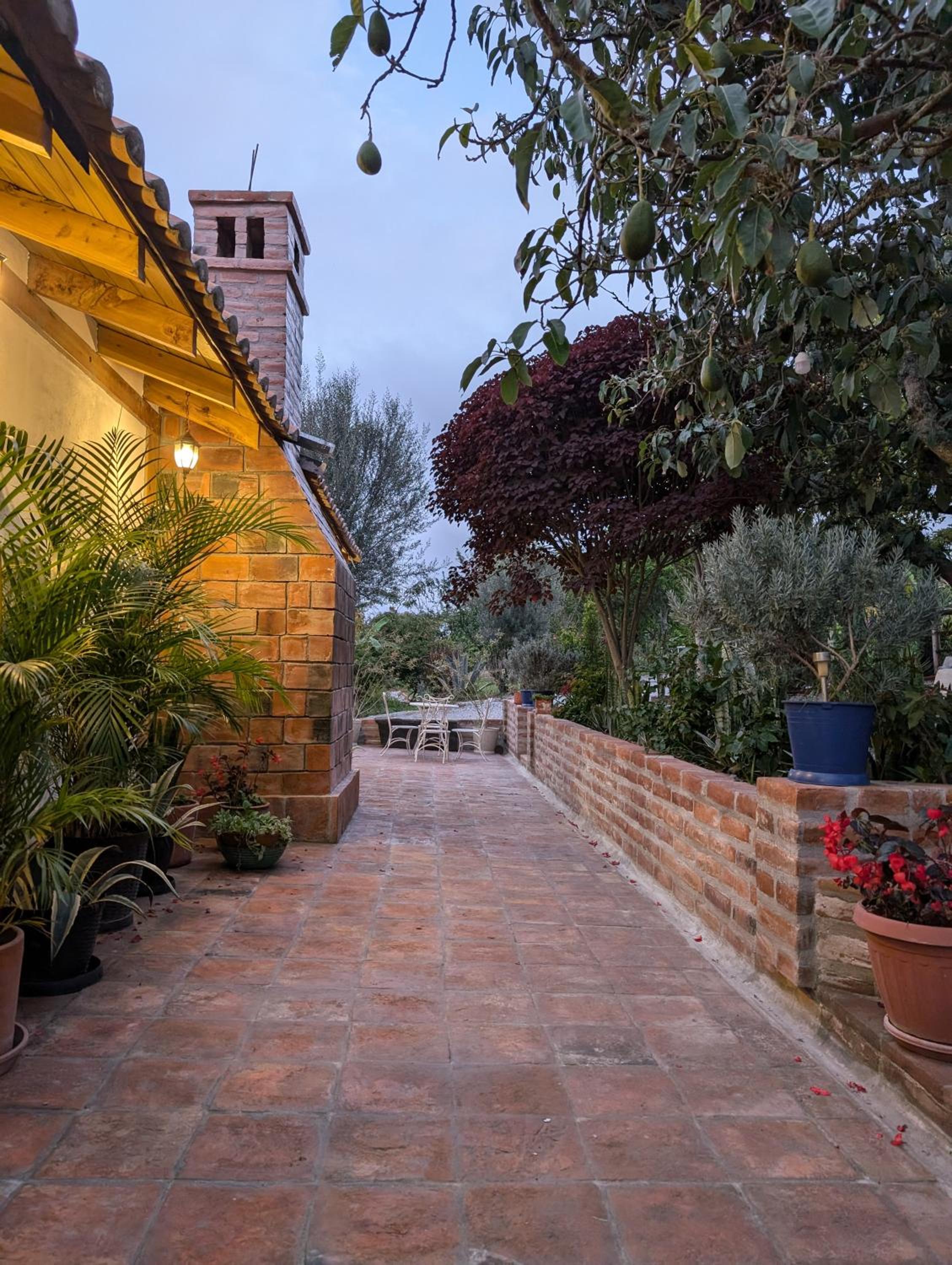 Quinta Paolita