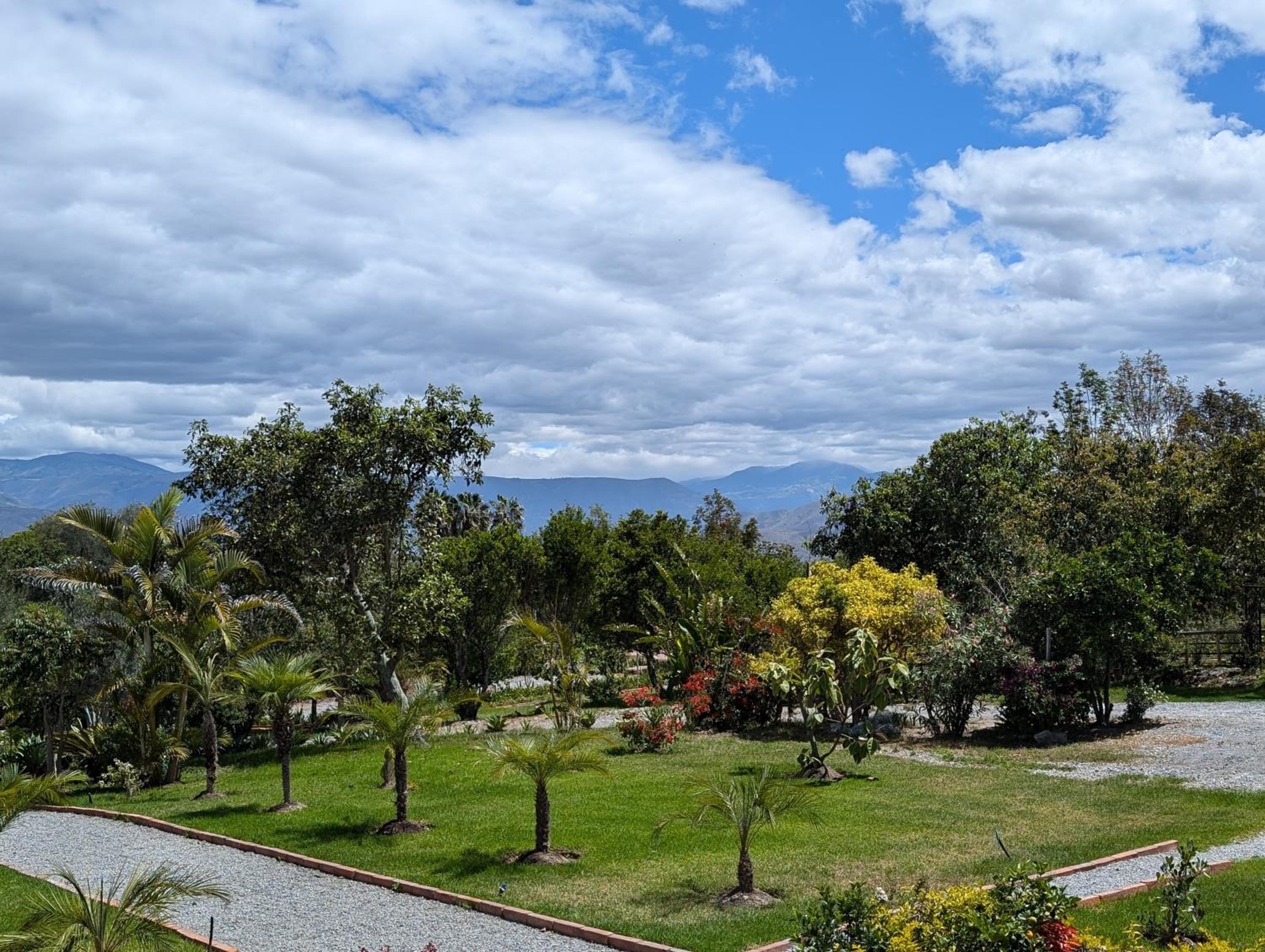 Quinta Paolita