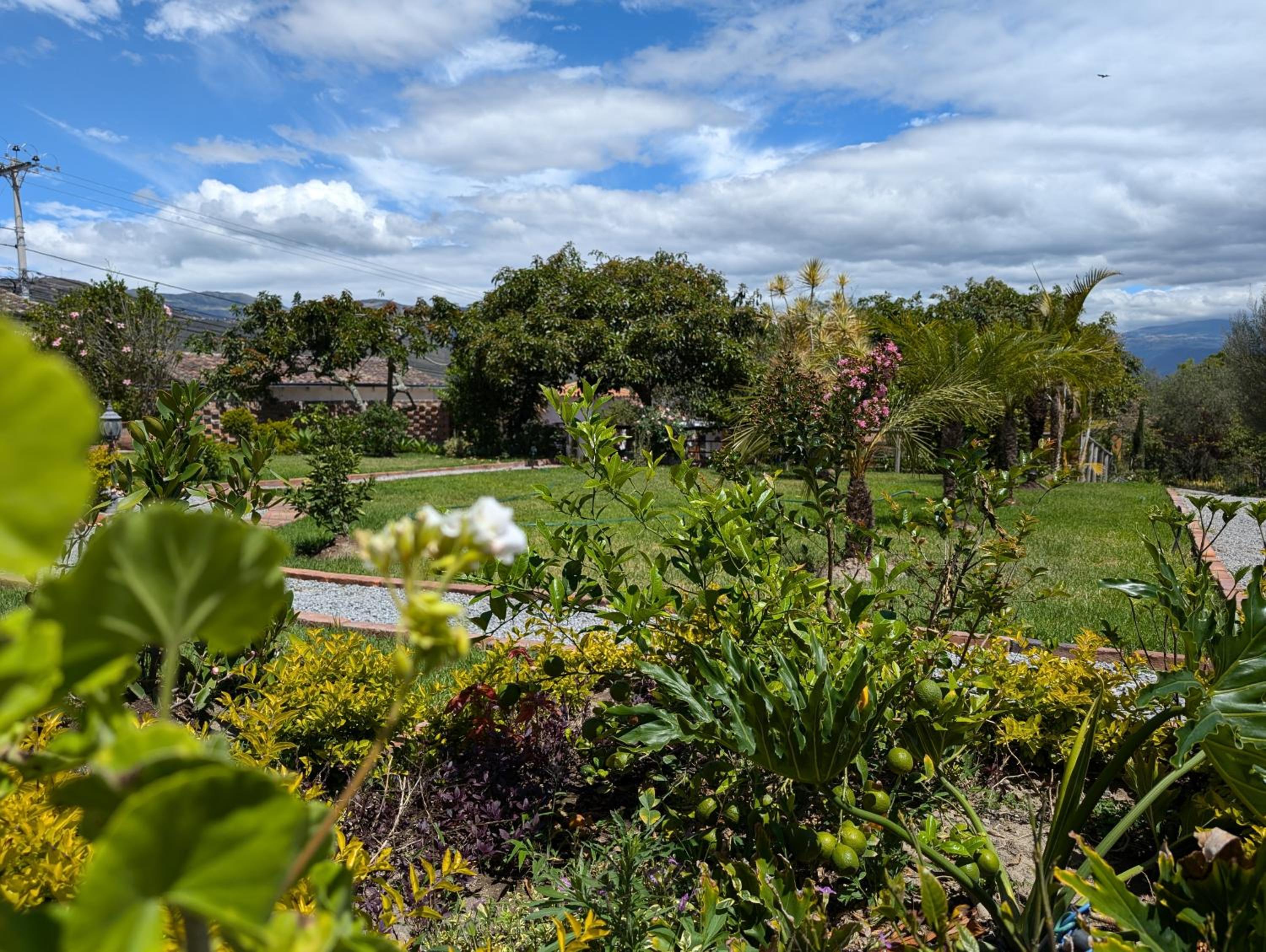 Quinta Paolita