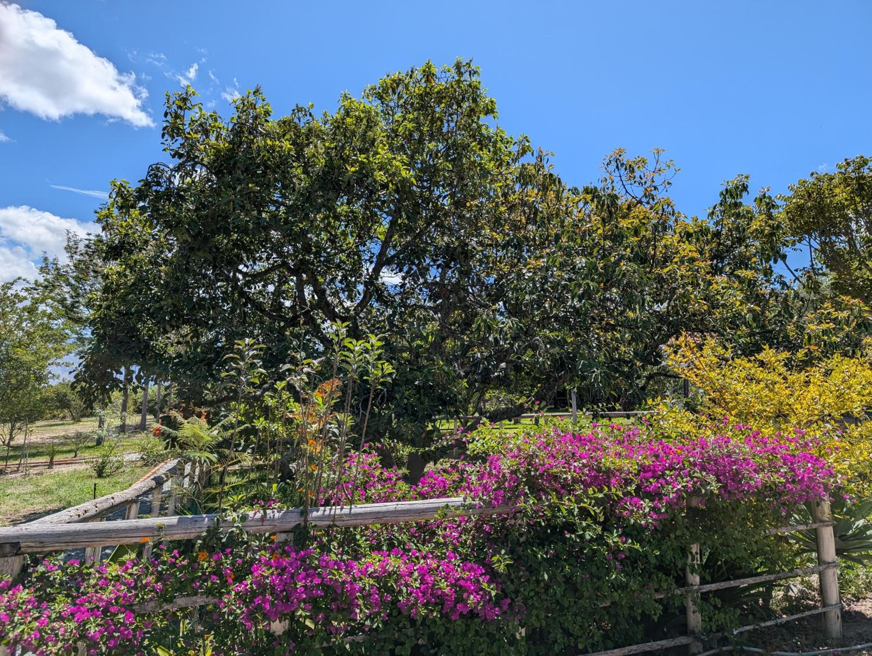 Quinta Paolita