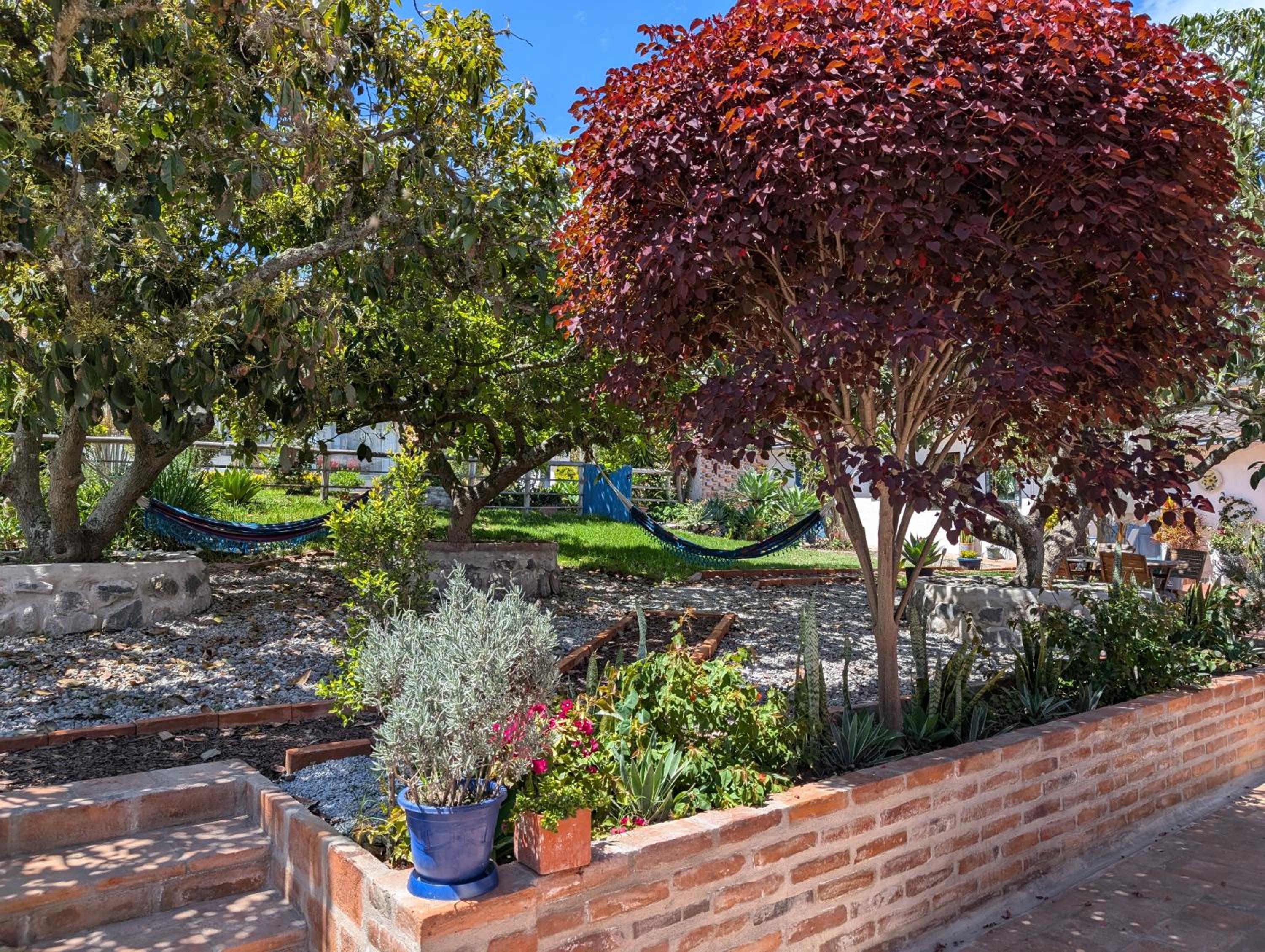 Quinta Paolita