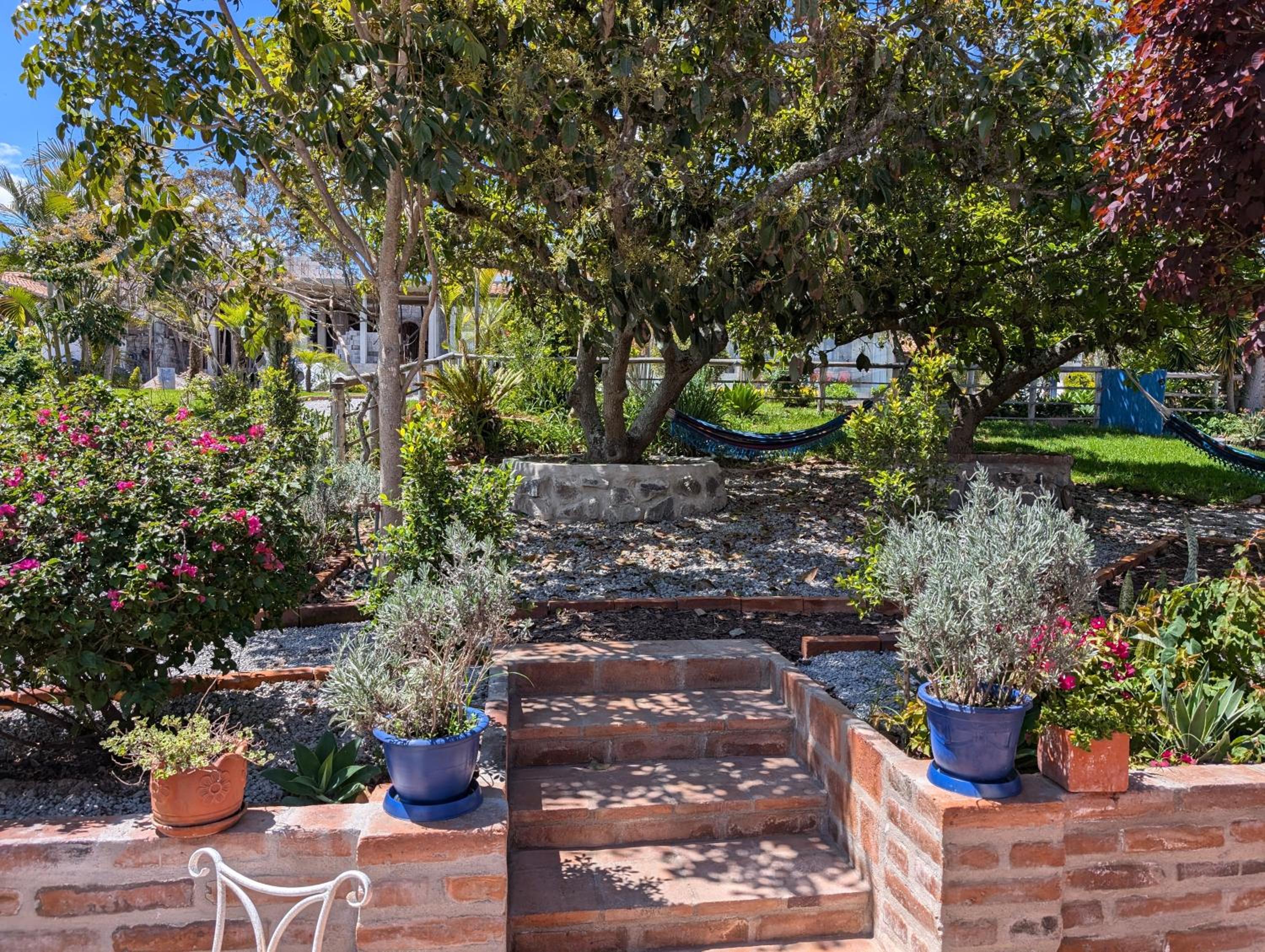 Quinta Paolita