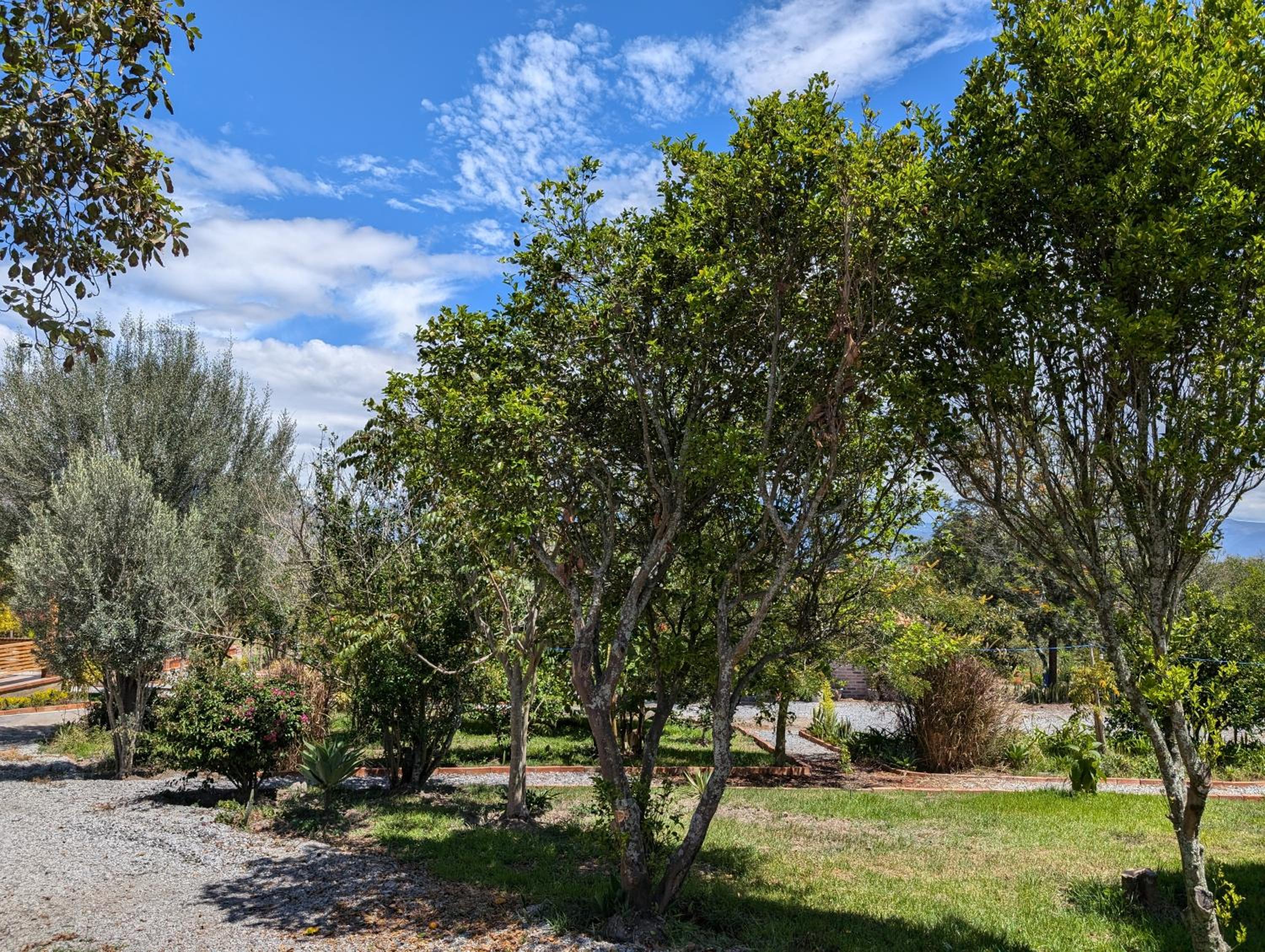 Quinta Paolita