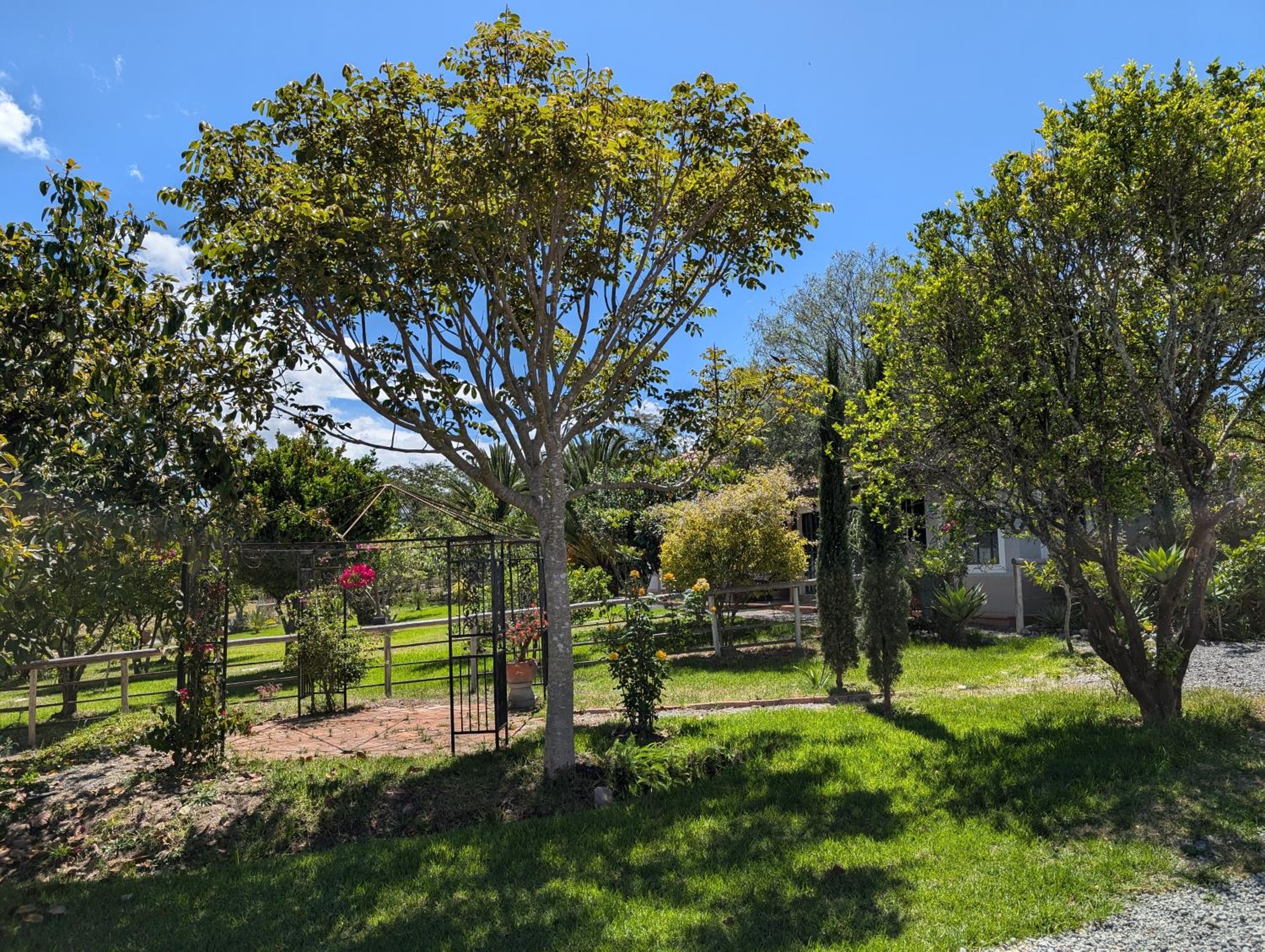 Quinta Paolita