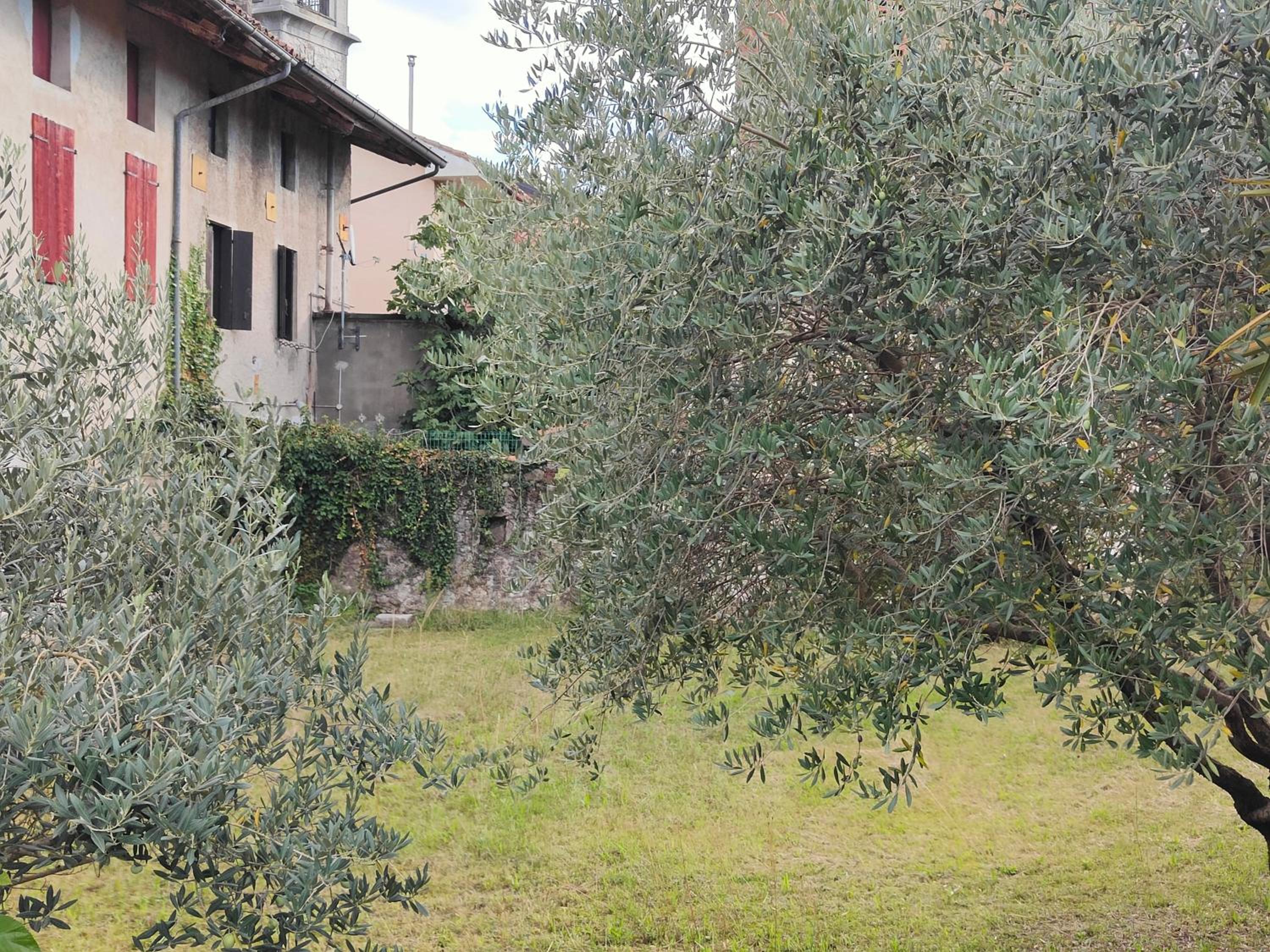 Casa affitto via Principale n 3 photo 4