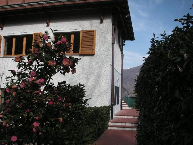 Photo 54