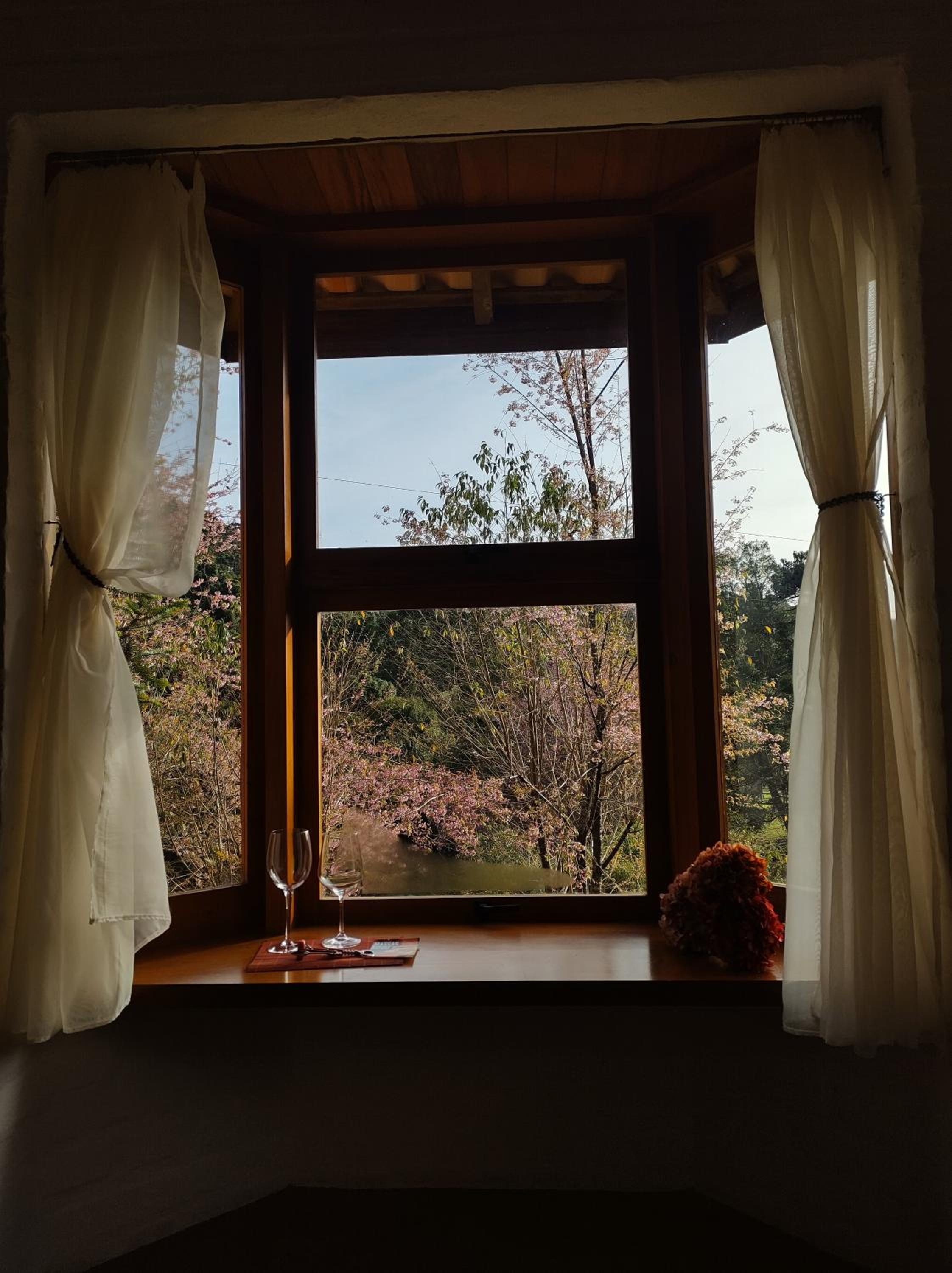 Casa Araucária com vista para montanha