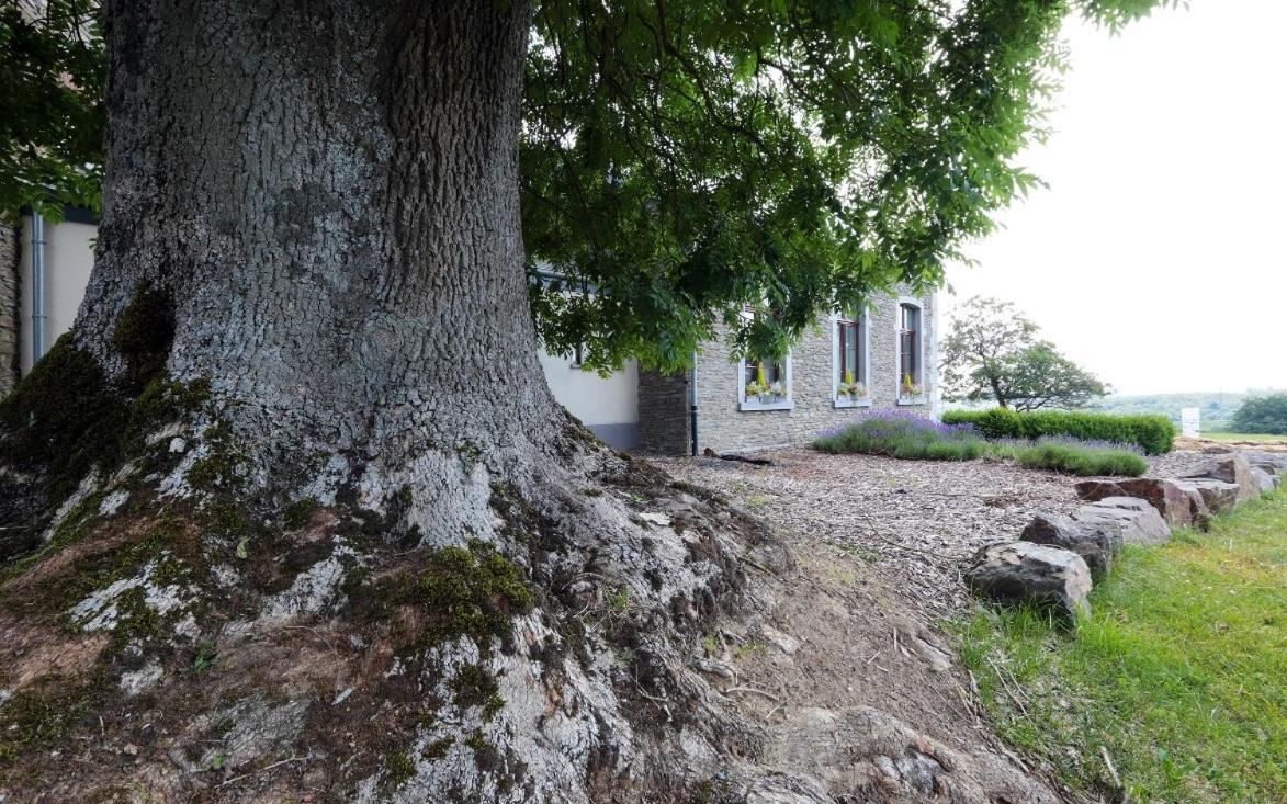2 huizen voor 60 personen - Hubermont