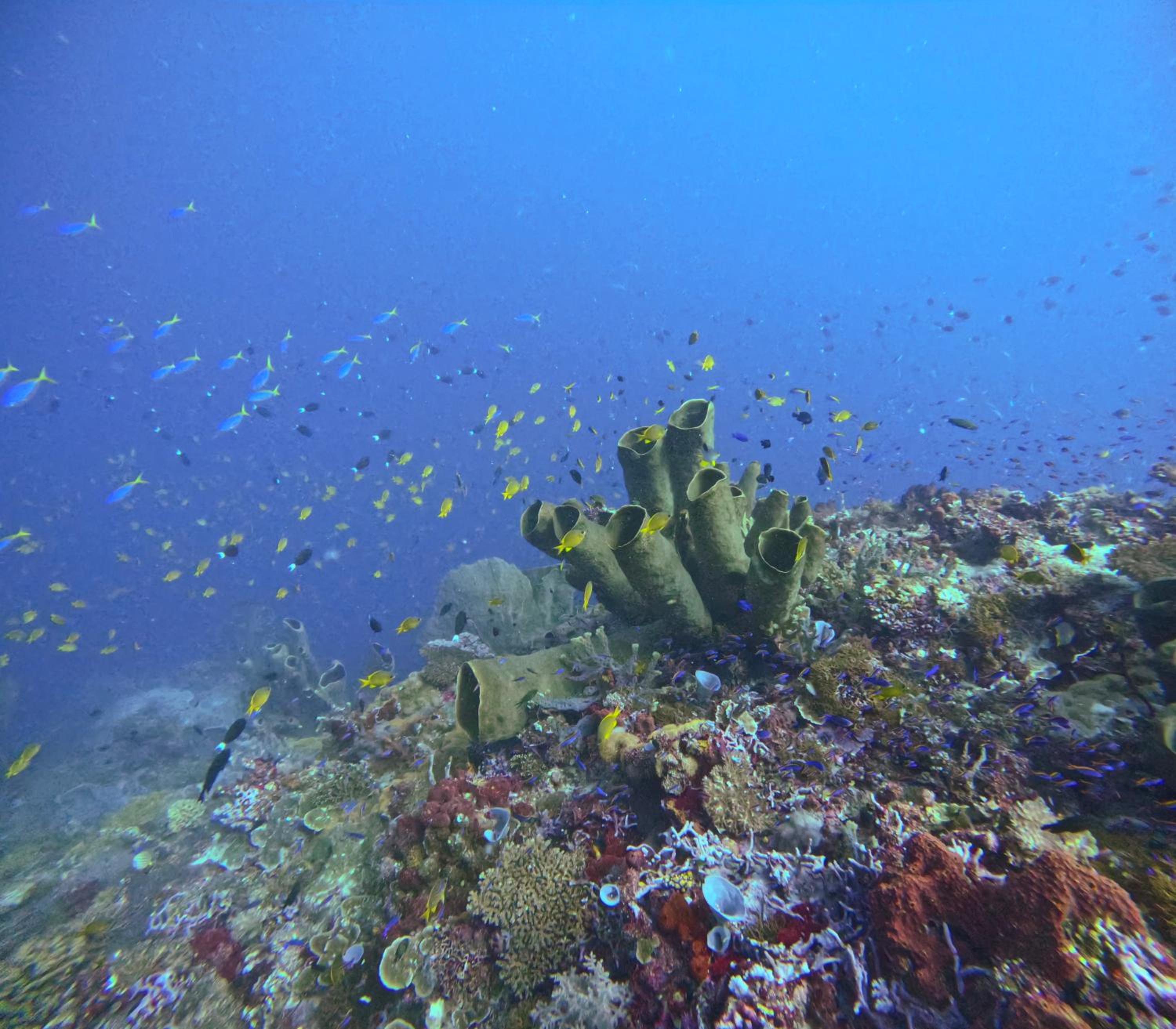 Photo 40