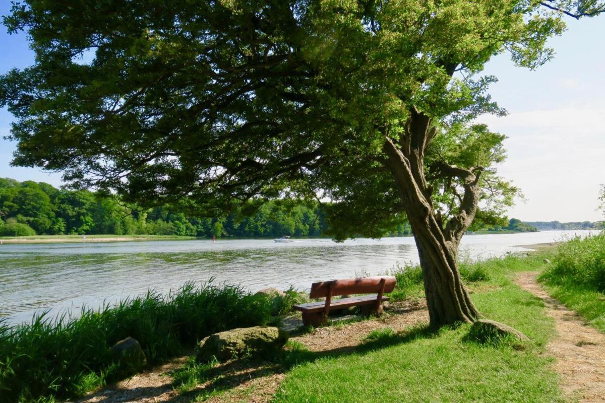 Ostseeurlaub mit Parkblick und Sauna