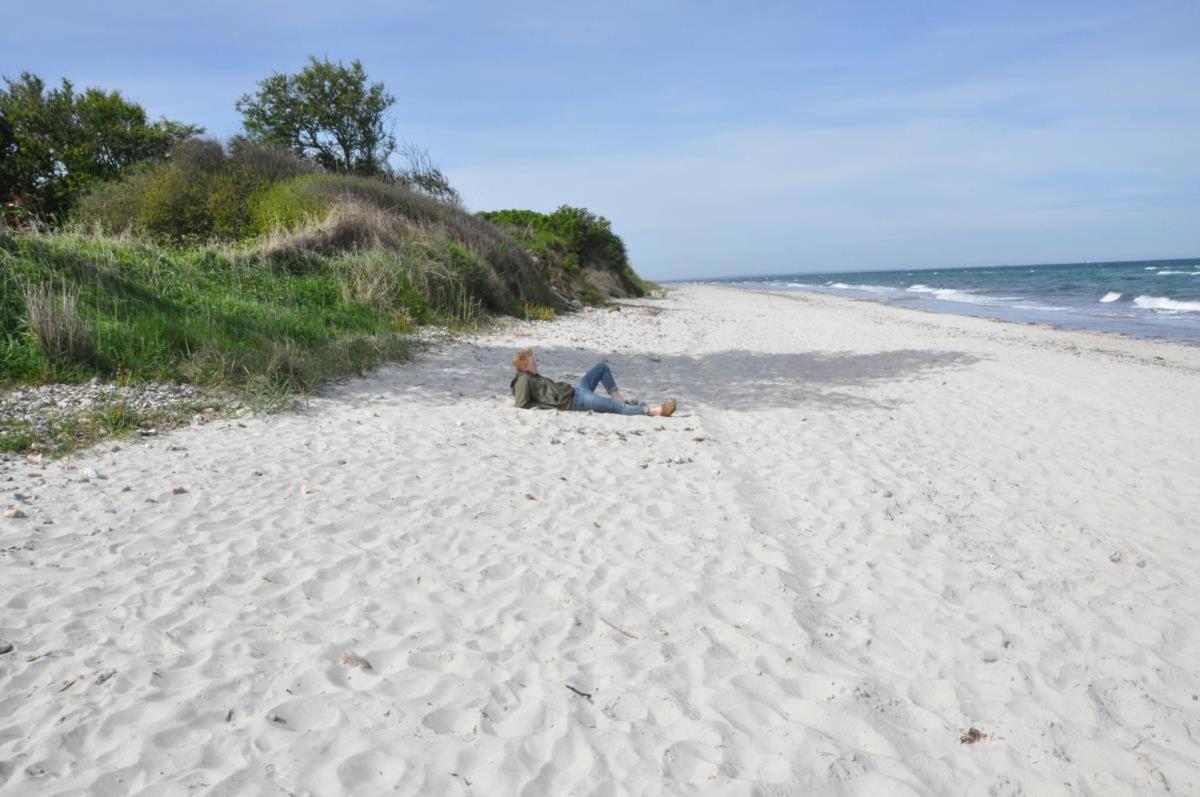 Ostseeurlaub mit Parkblick und Sauna