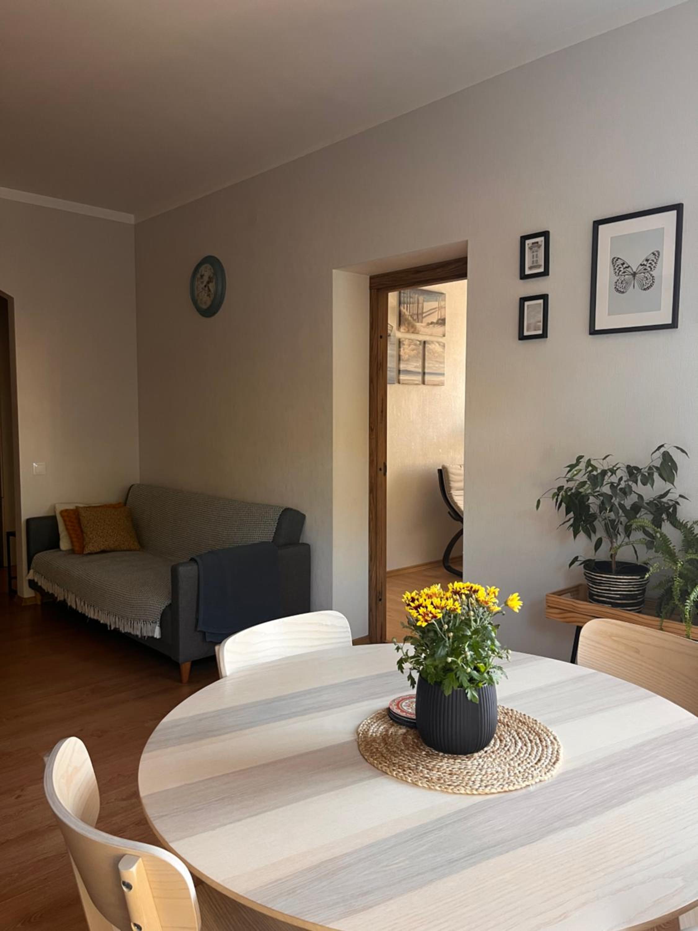 Nice&cozy flat No7 view 5