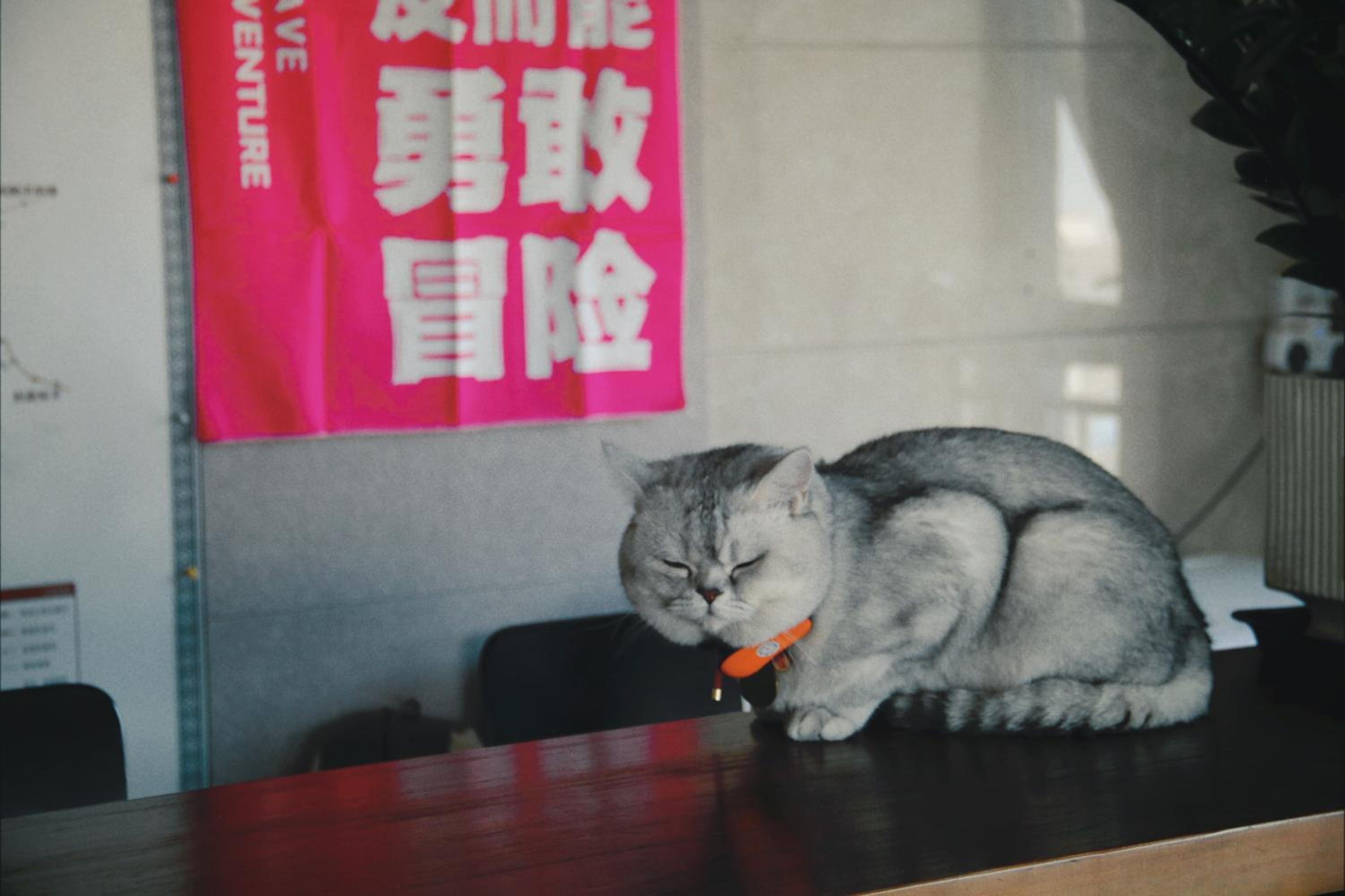 云泊青年酒店乌鲁木齐高铁站店 Yunbo Youth Hostel Ürümqi