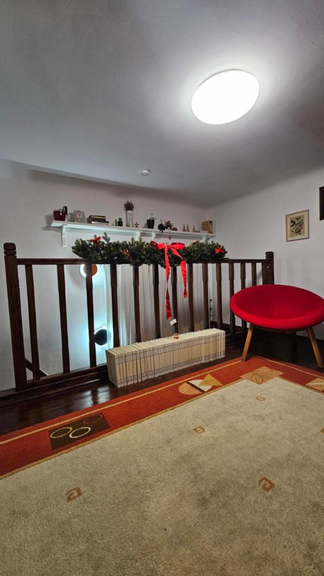 Napoca Ultracentral Loft view 3