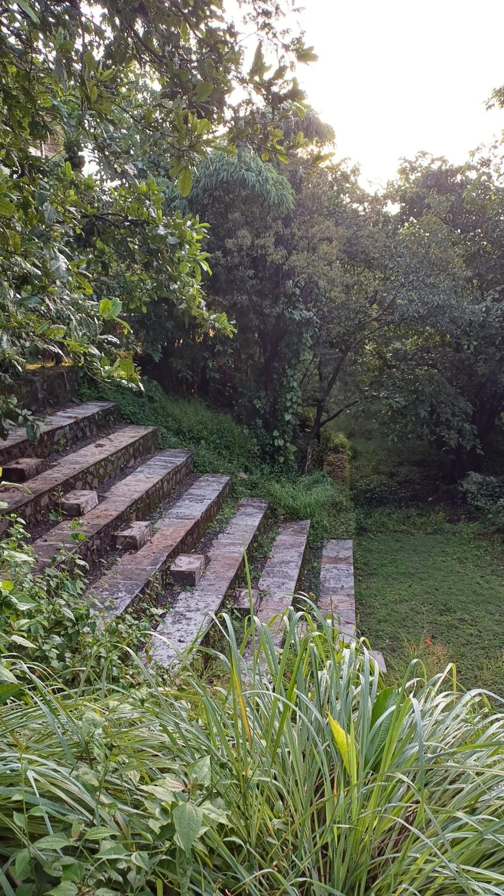 Machan Villas by Holiday Club view 5