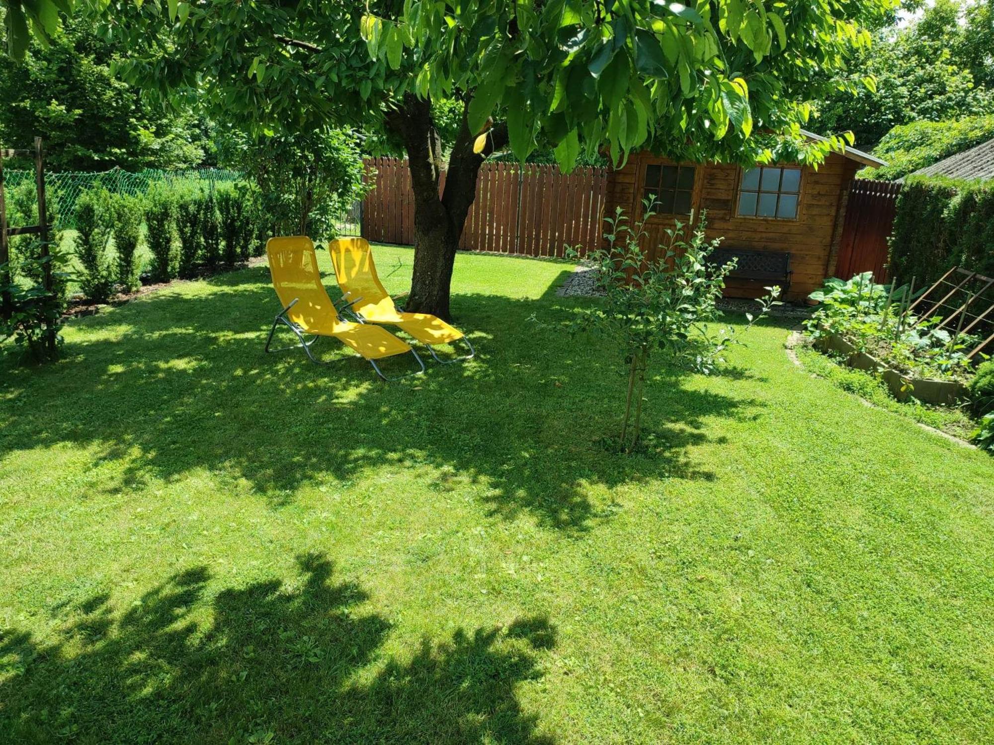 Photo 44