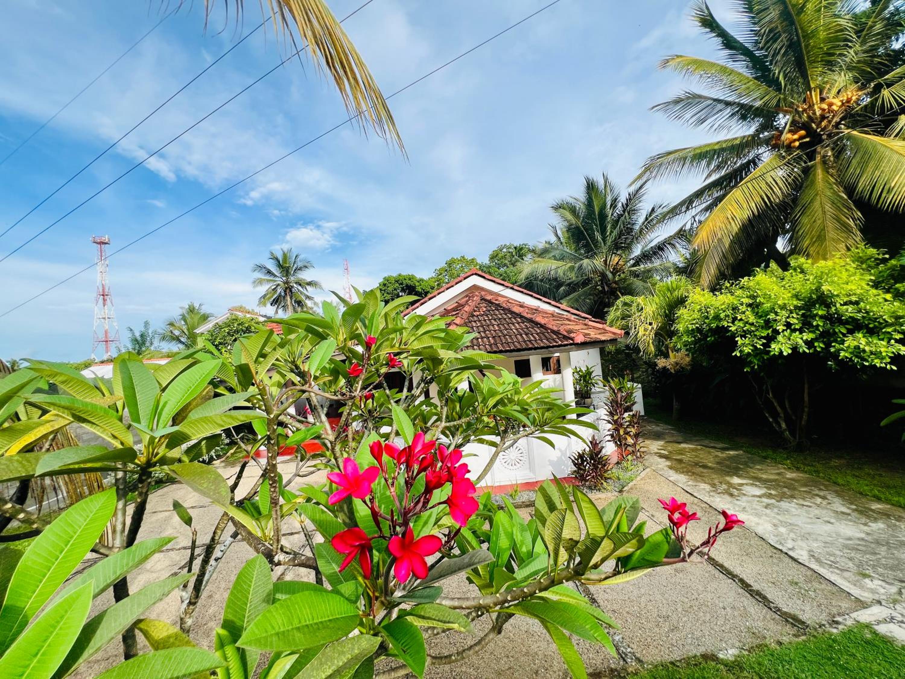 Treat Villa - Tangalle view 3