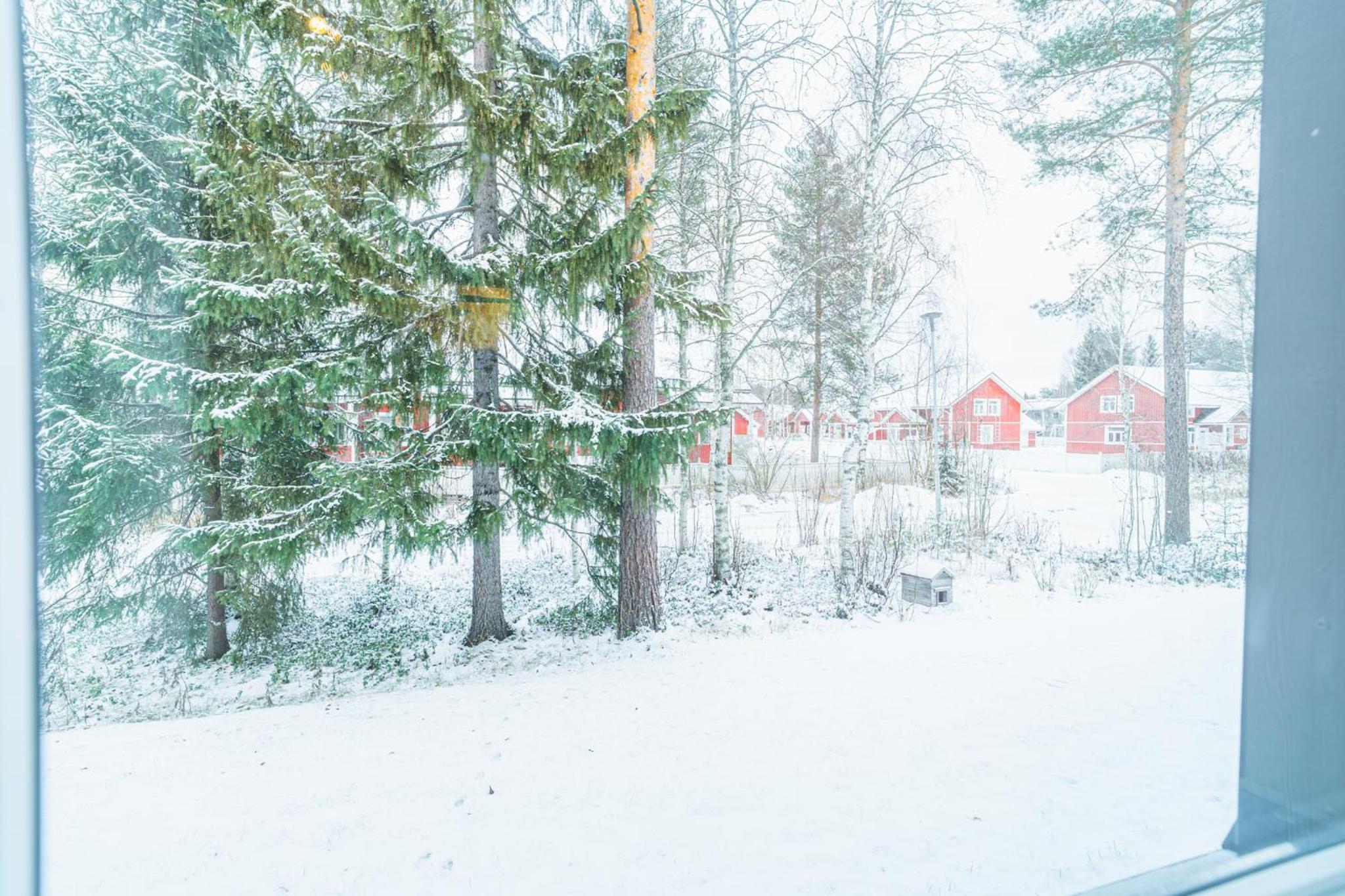 Residential Homes Lapland Row House