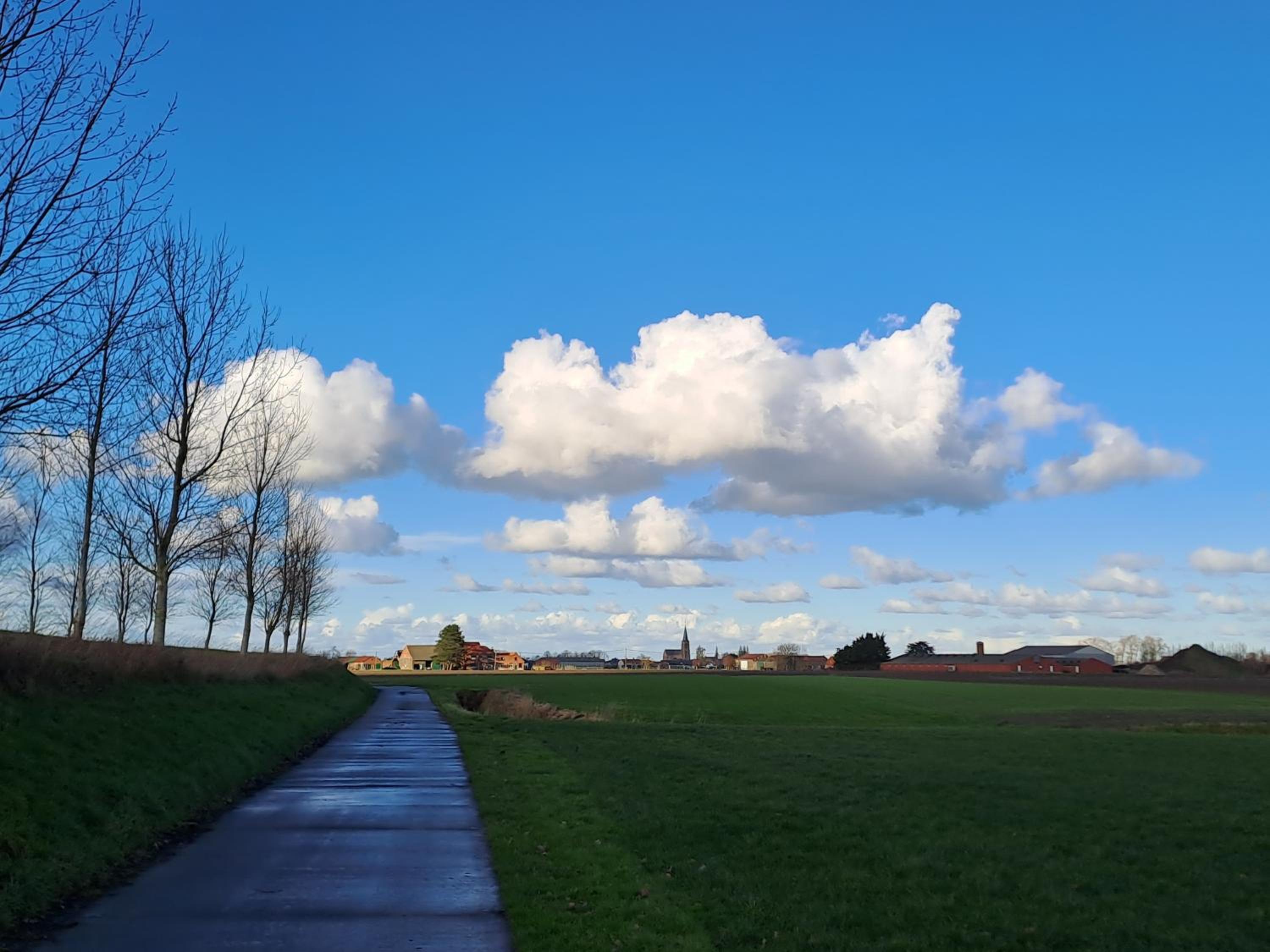 B&B De Hemelse Polder