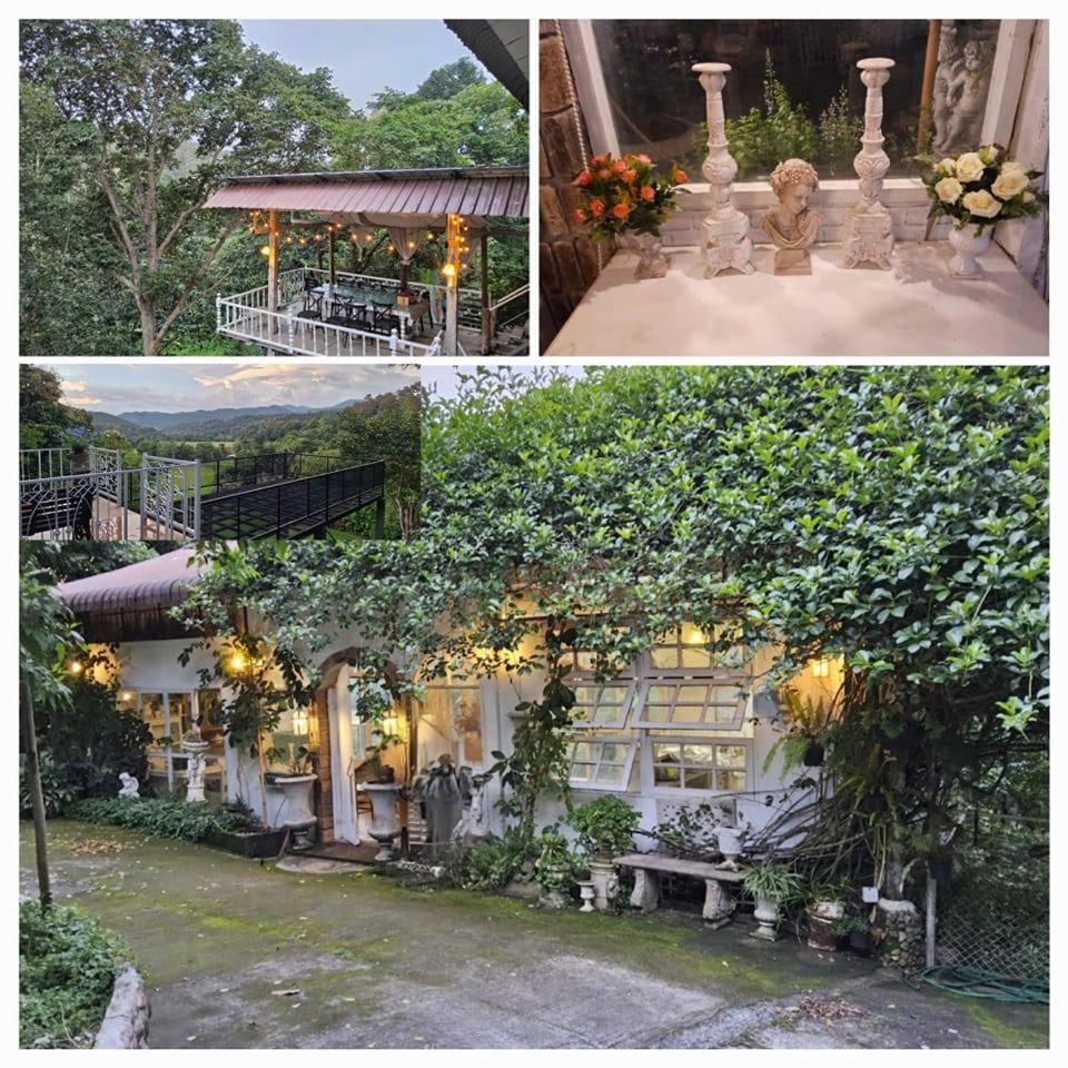 Balmy Hideout Cafe & Homestay
