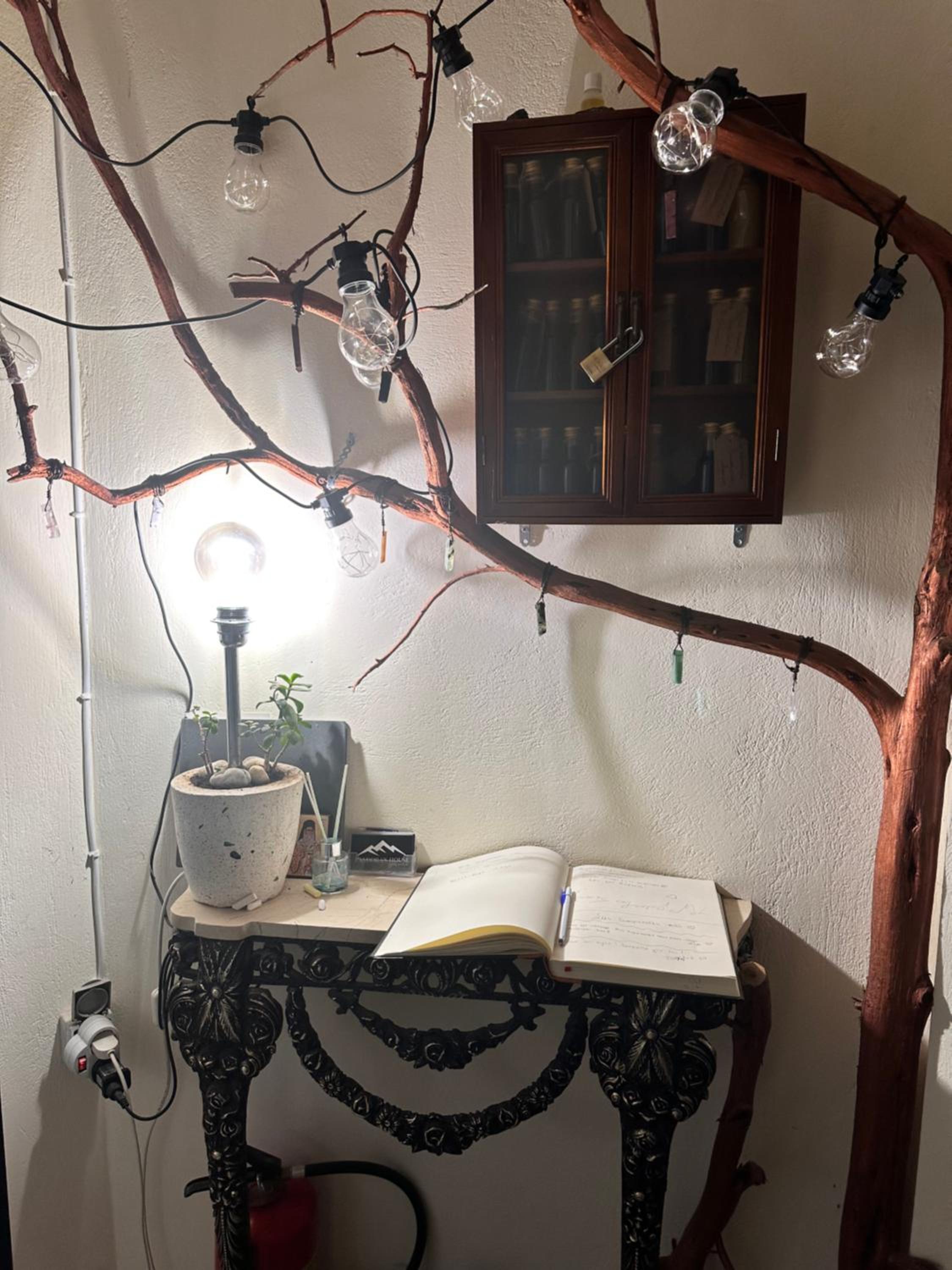 Photo 14
