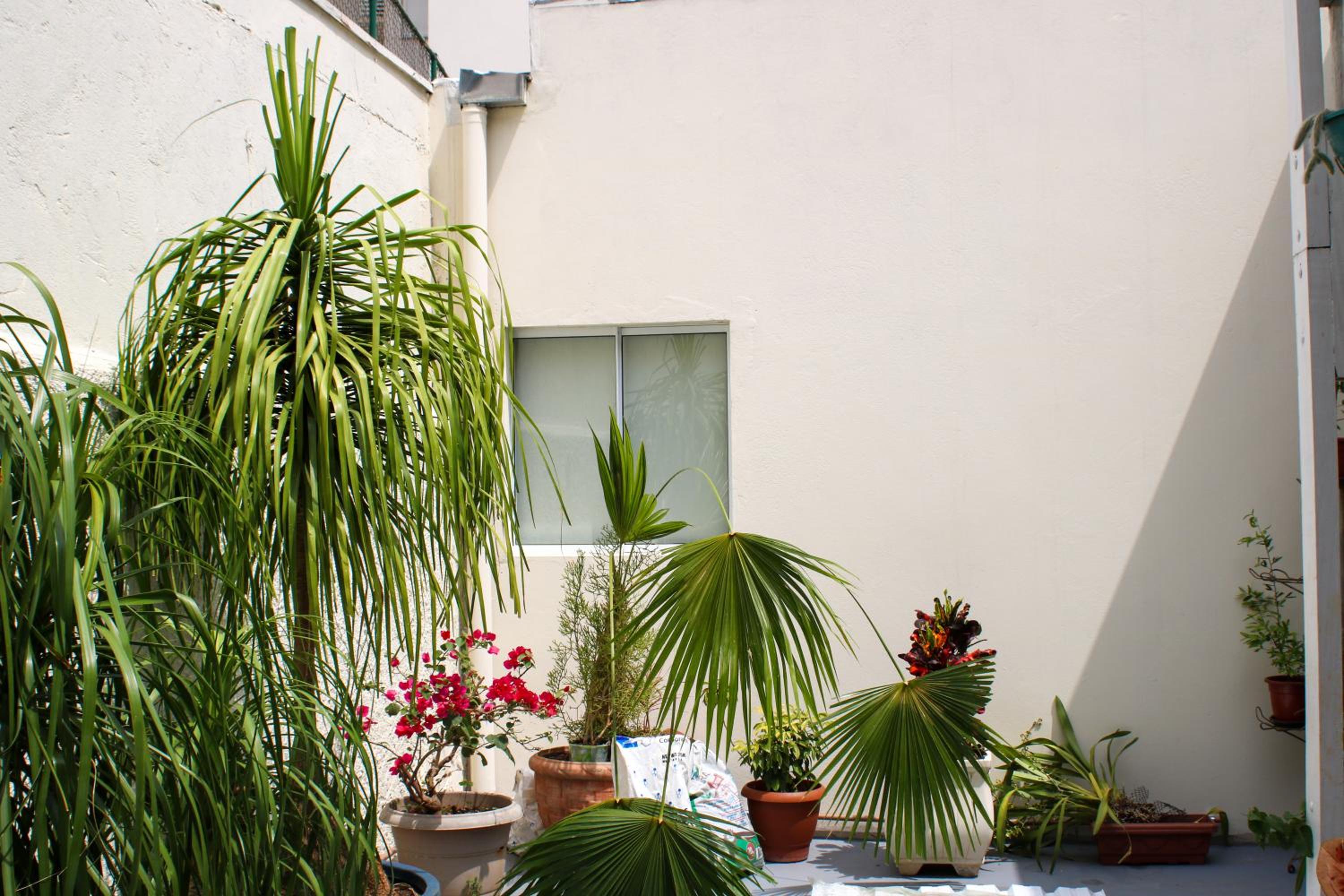 Hotel Pousada Guanabara Inn Campinas - Image 1