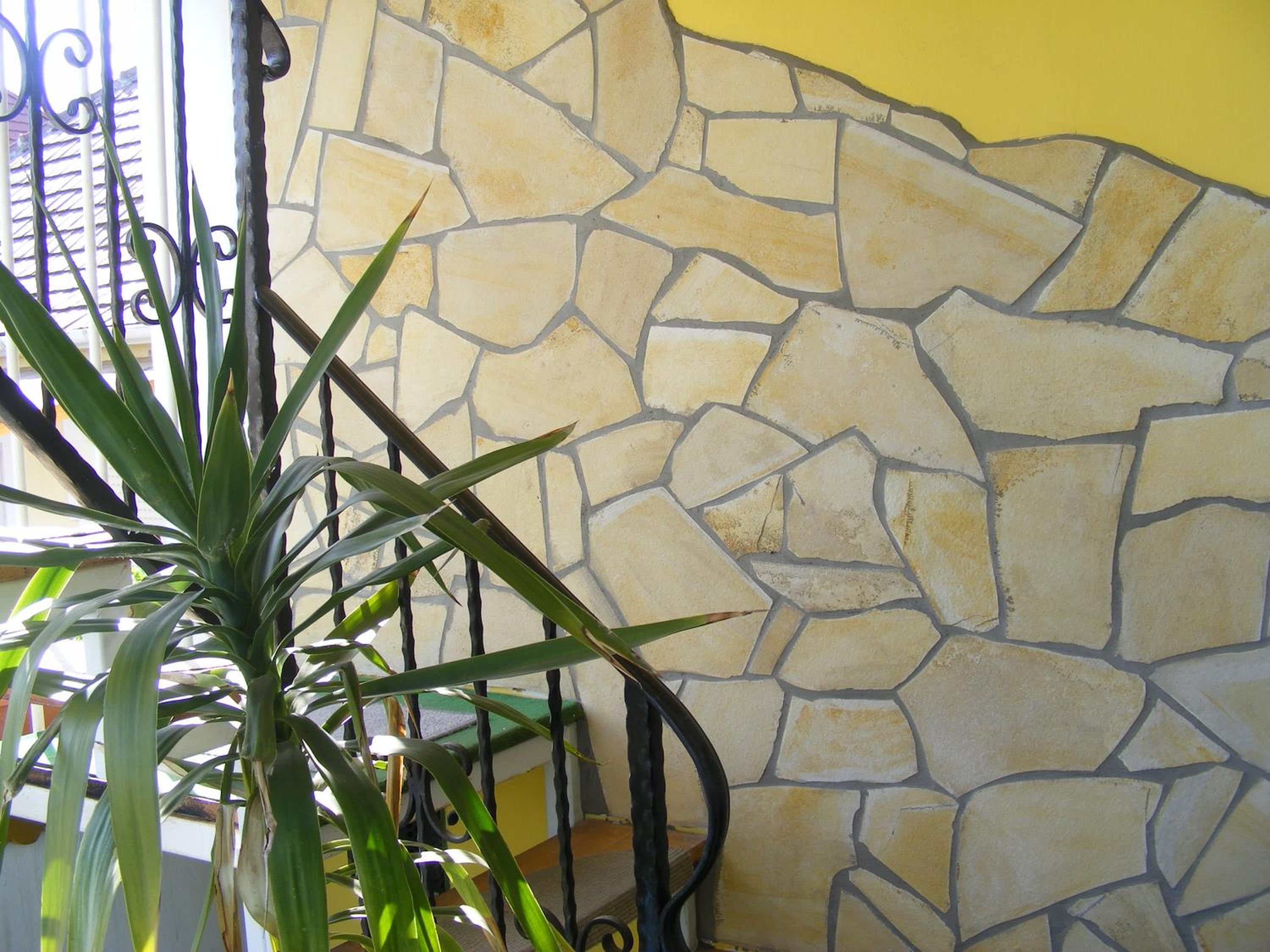 Photo 45