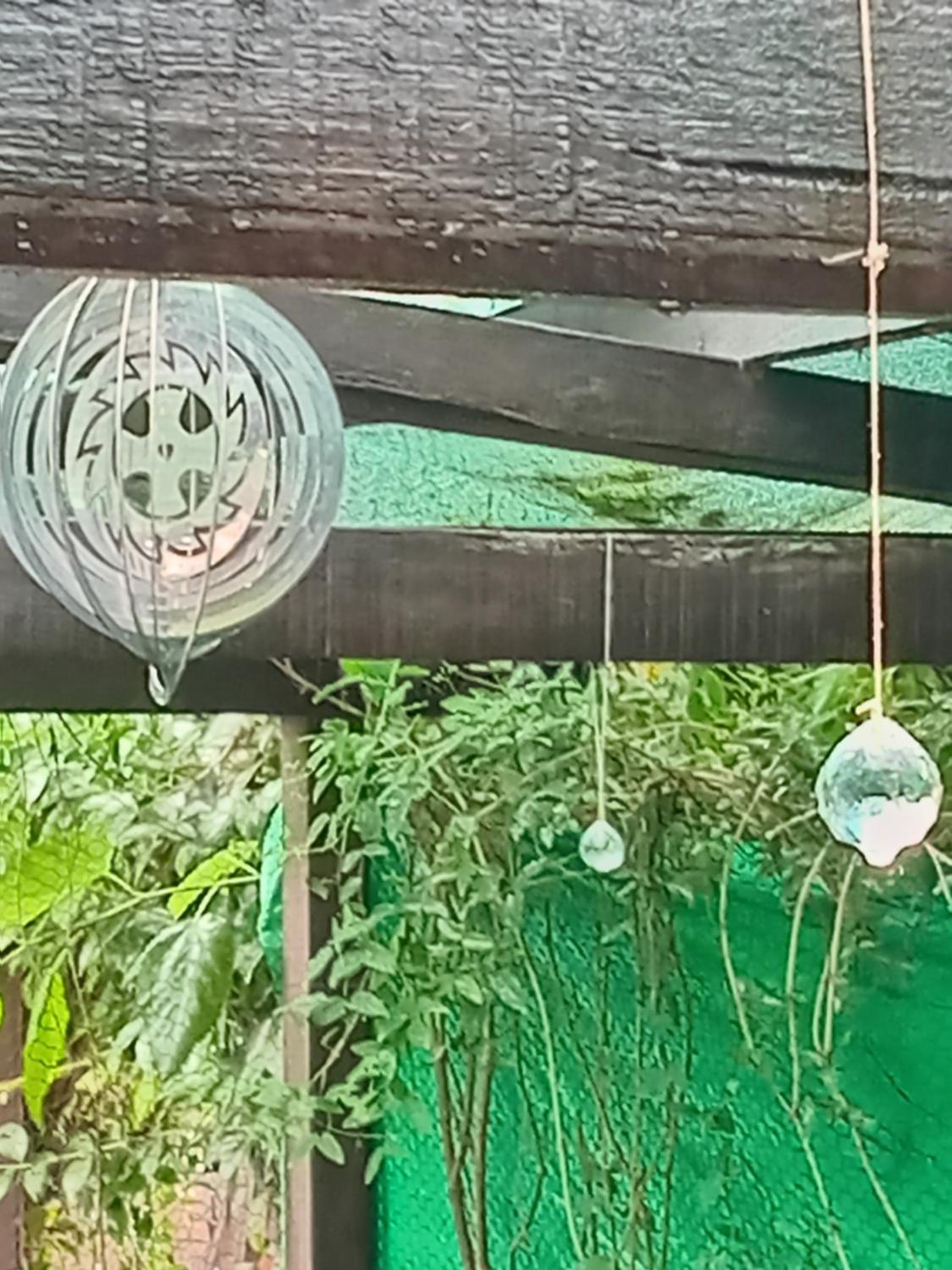 Sala Gongs