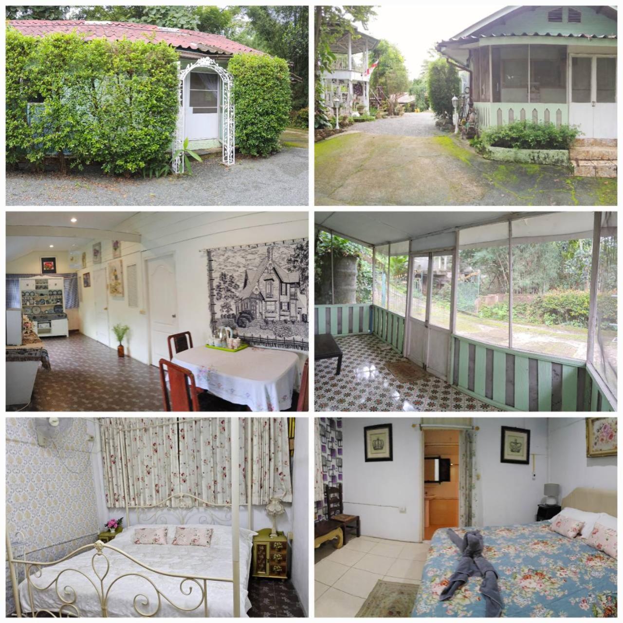 Balmy Hideout Cafe & Homestay