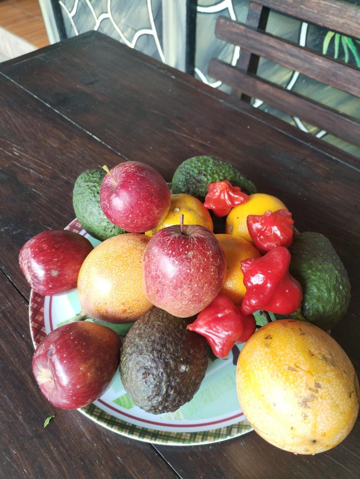 Cabinas las Manzanas Bed y Breakfast