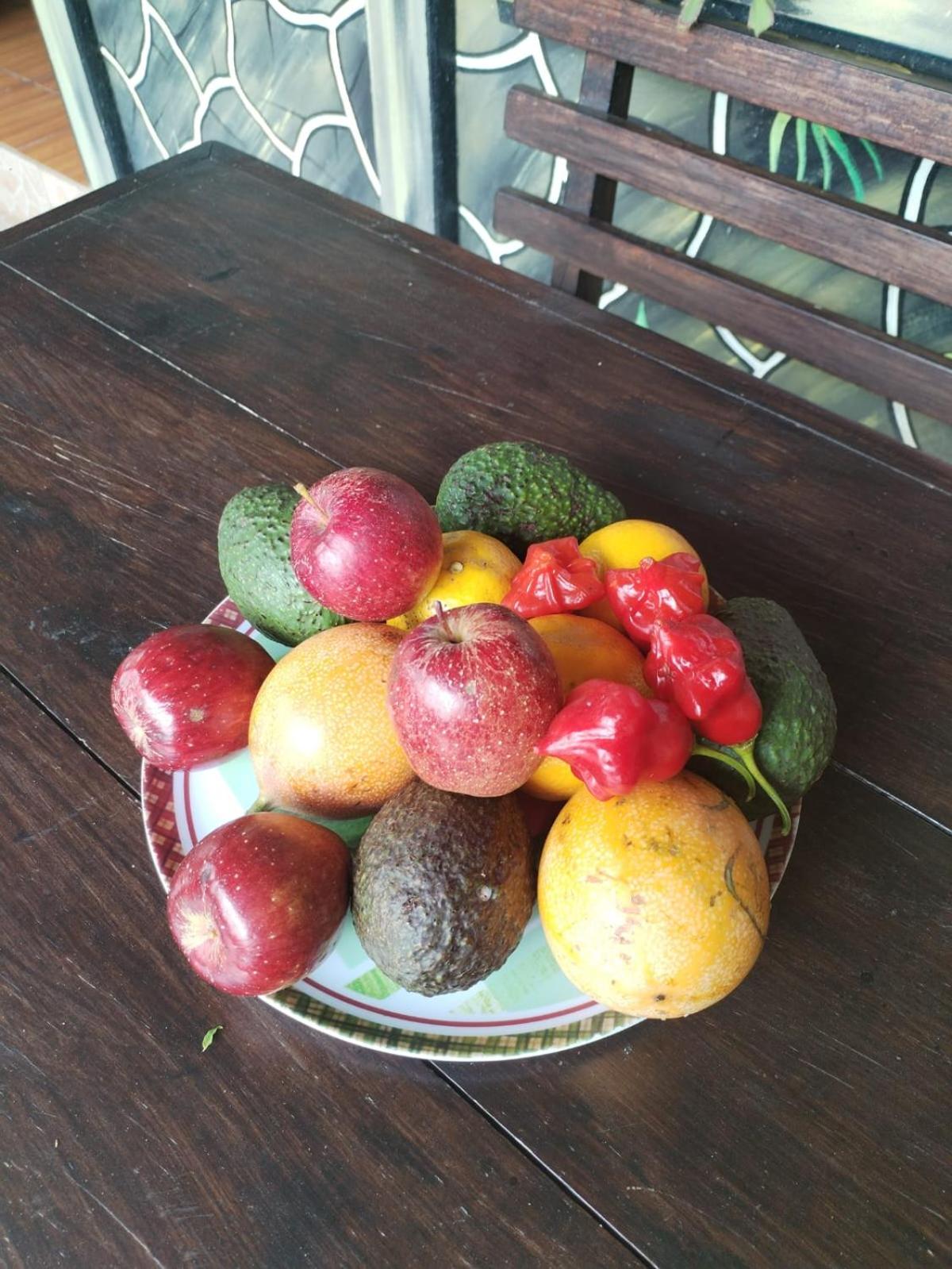 Cabinas las Manzanas Bed y Breakfast