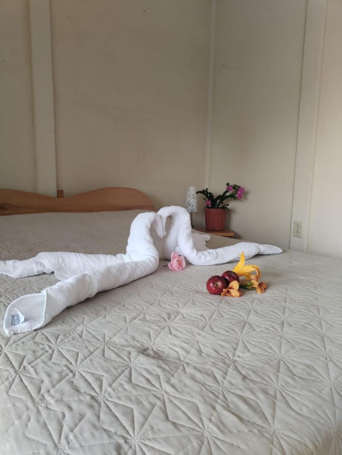 Cabinas las Manzanas Bed y Breakfast