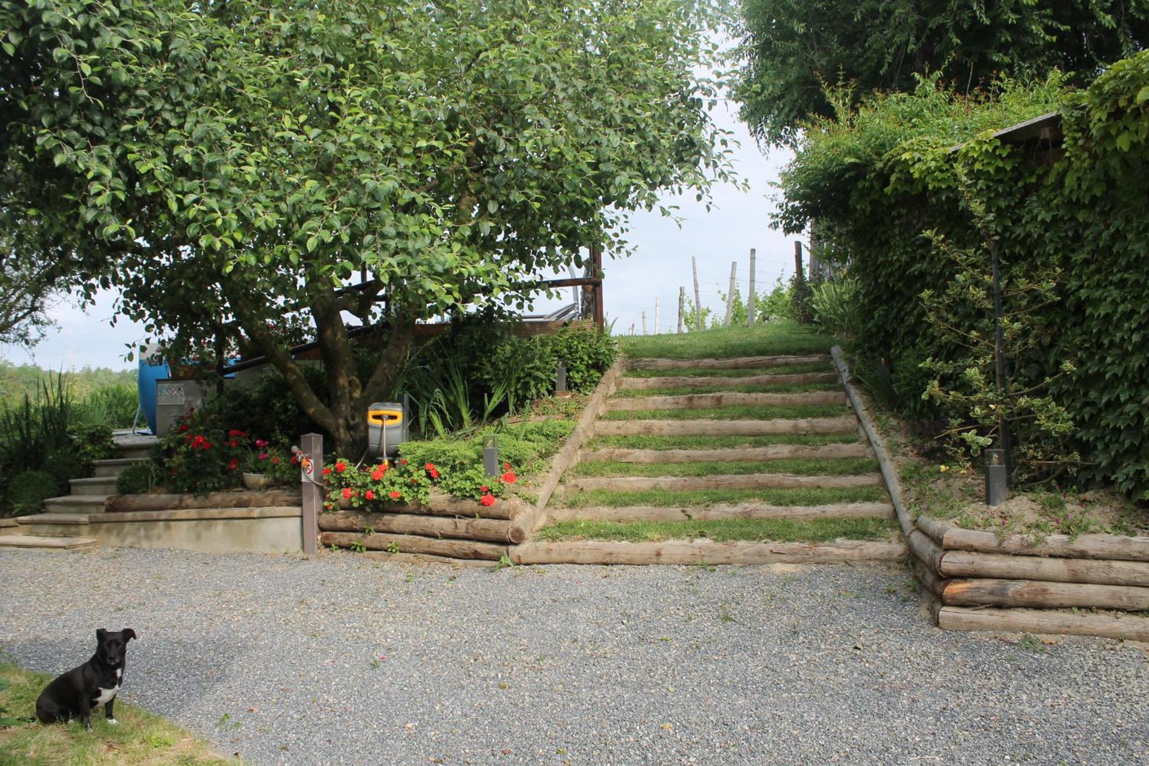 Photo 28