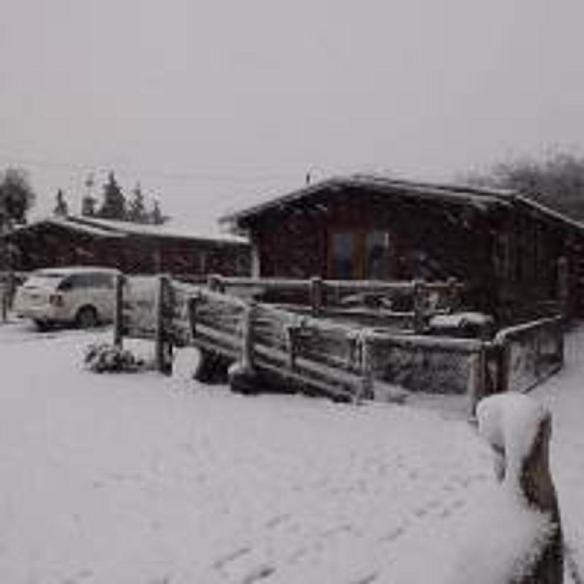 Hand built log cabin at Avonvale Holiday Lodges